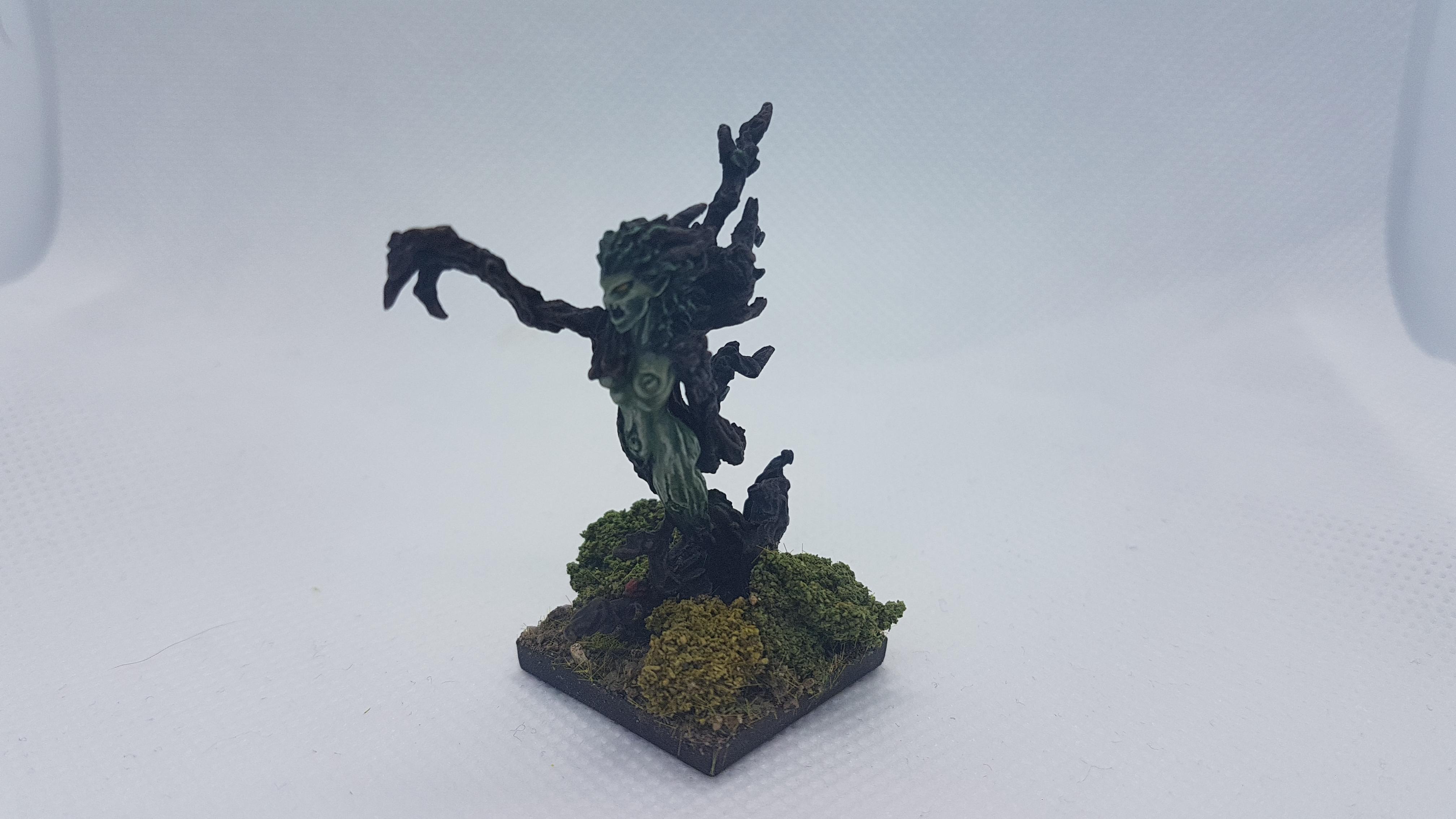 Forest Warden
