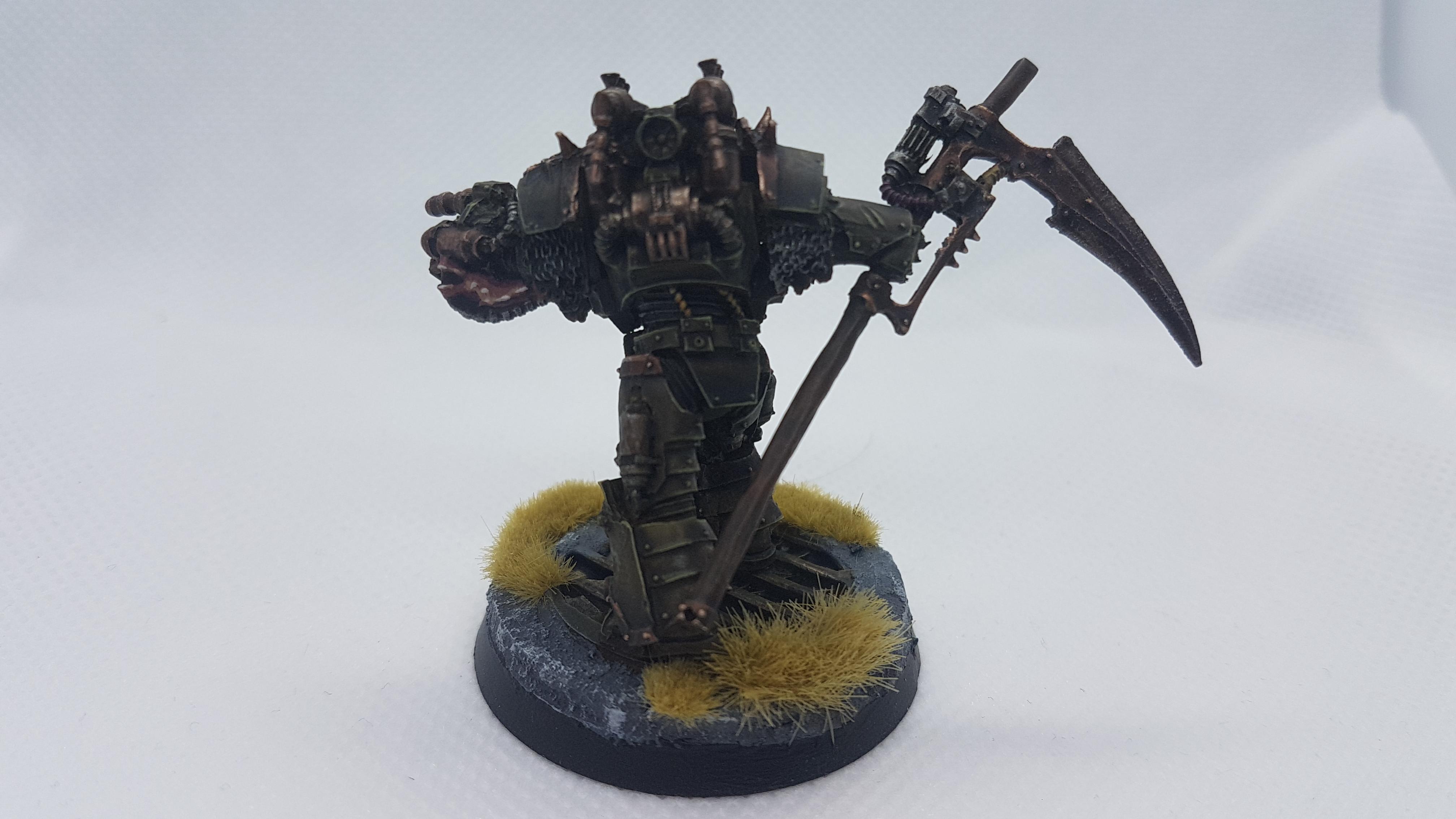 Typhus