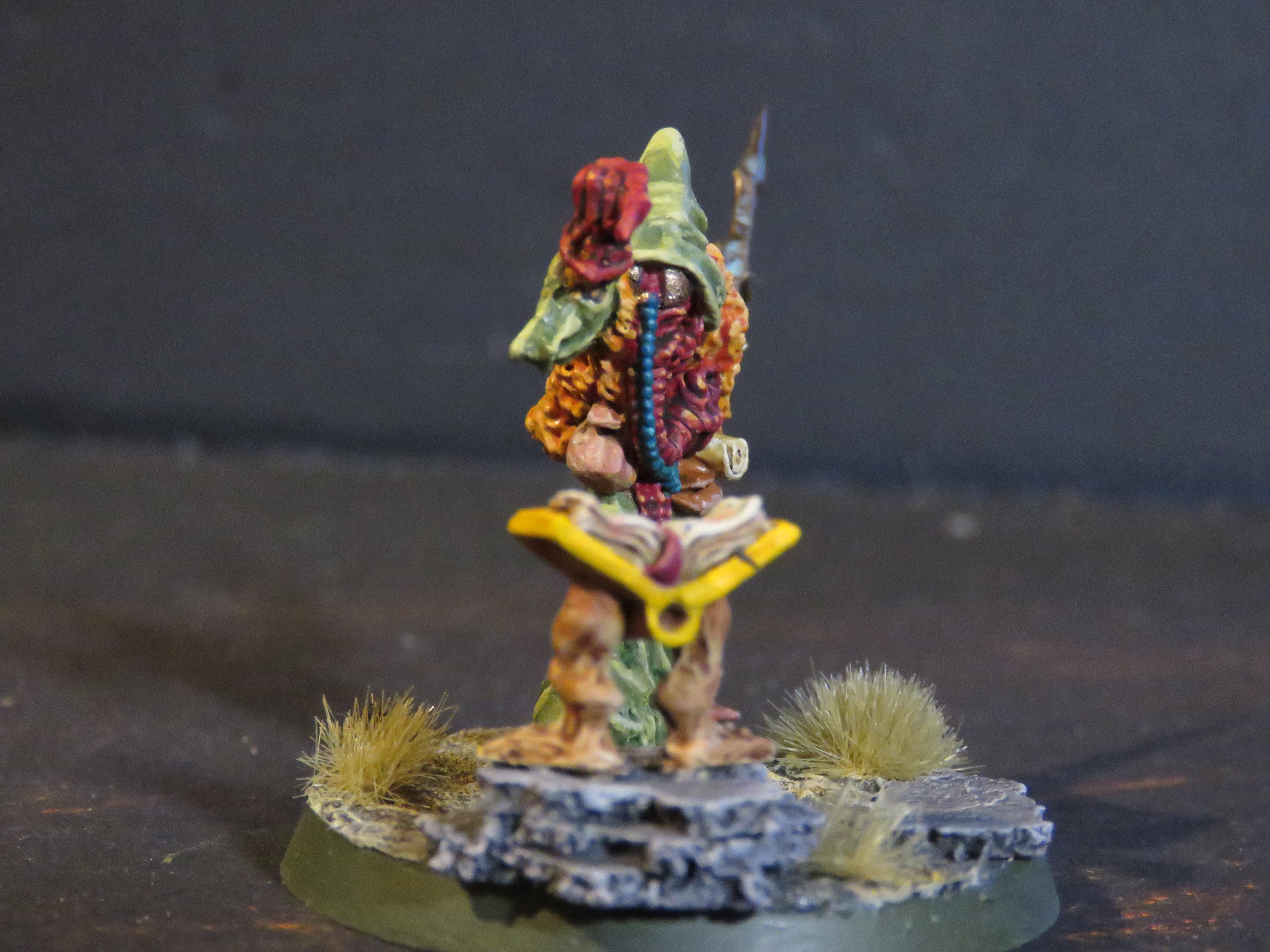 Chaos, Conversion, Nurgle, Sorceror