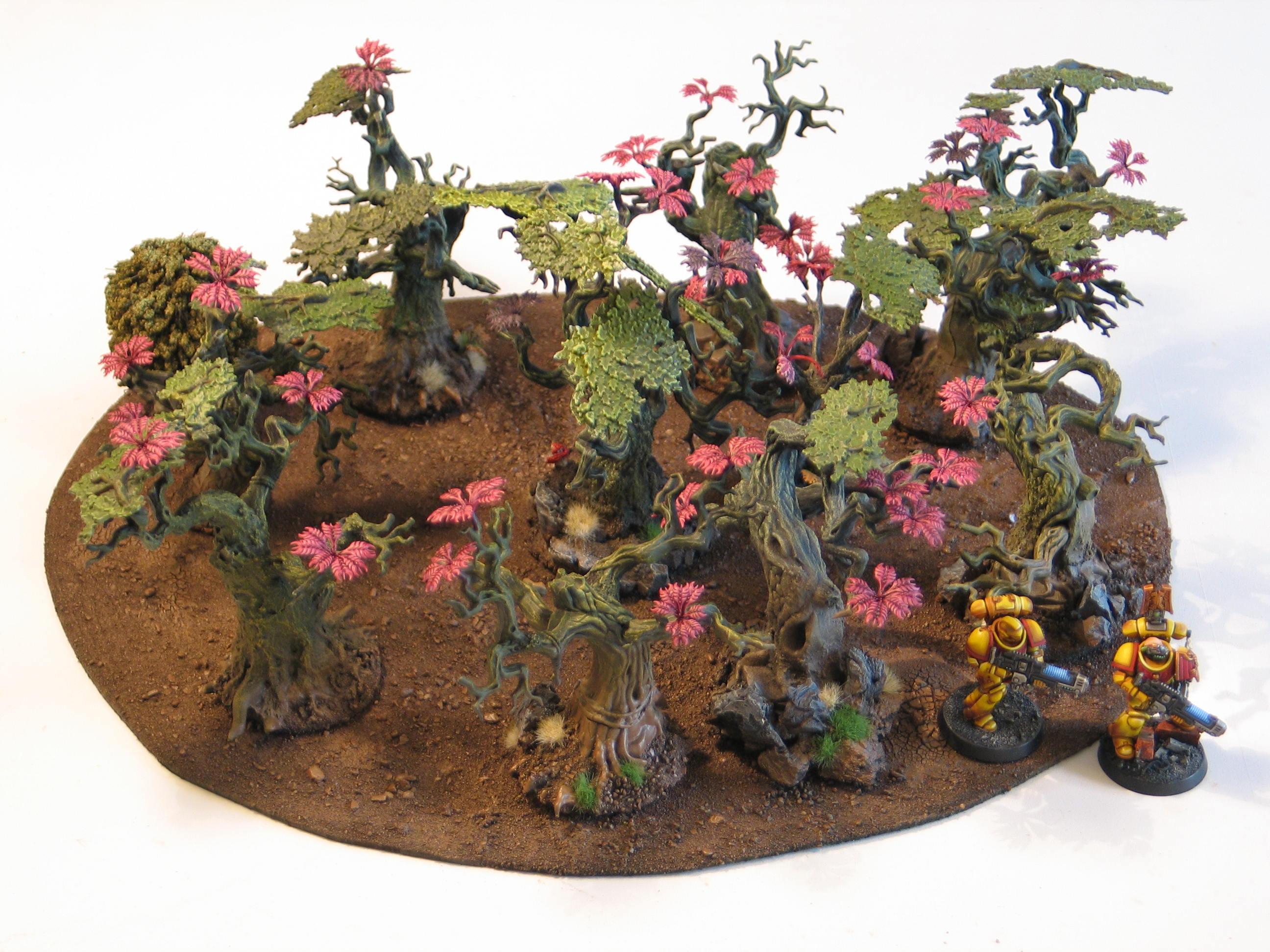 Forest, Jungle, Terrain, Wood, Woods