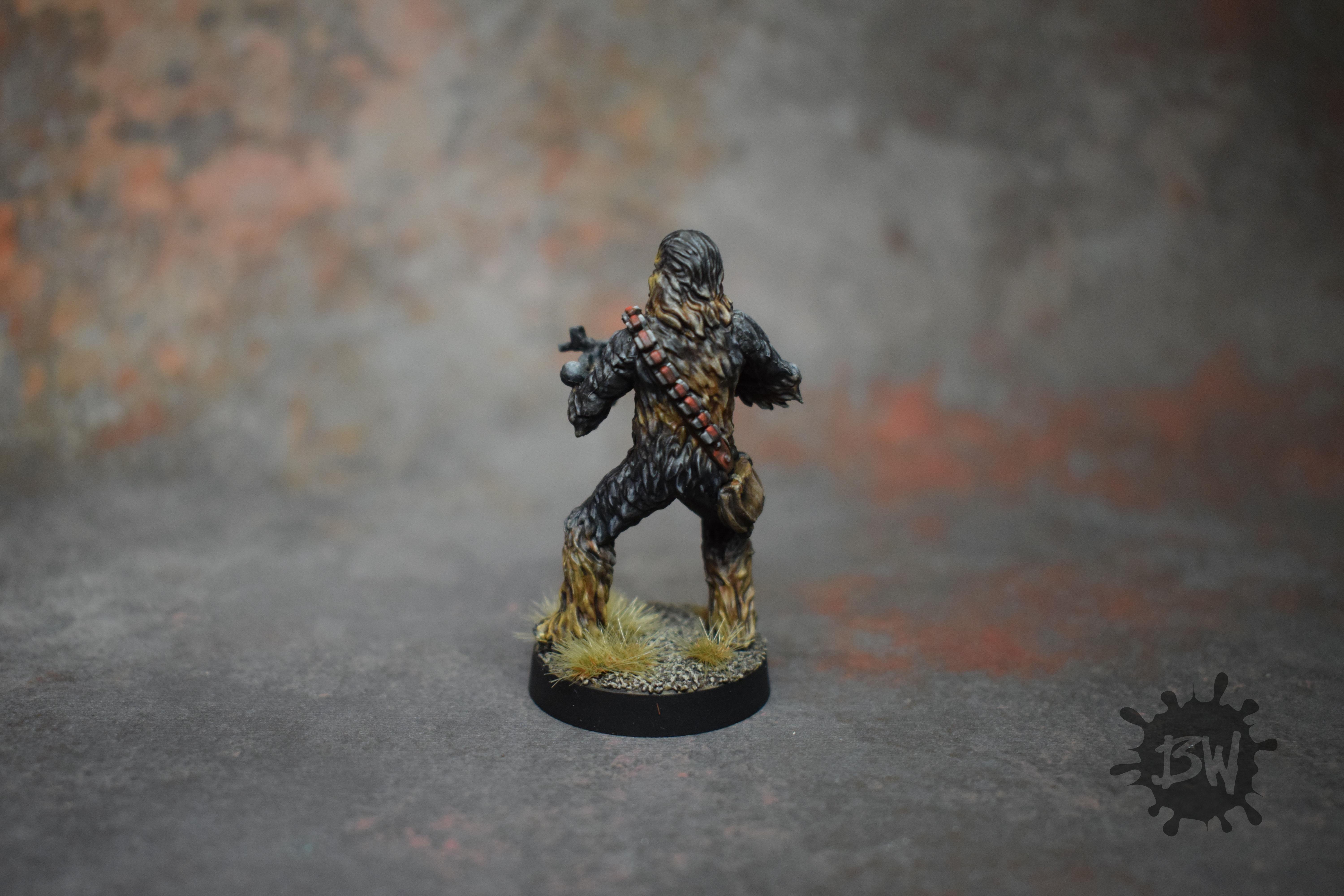 Chewbacca, Chewbacca