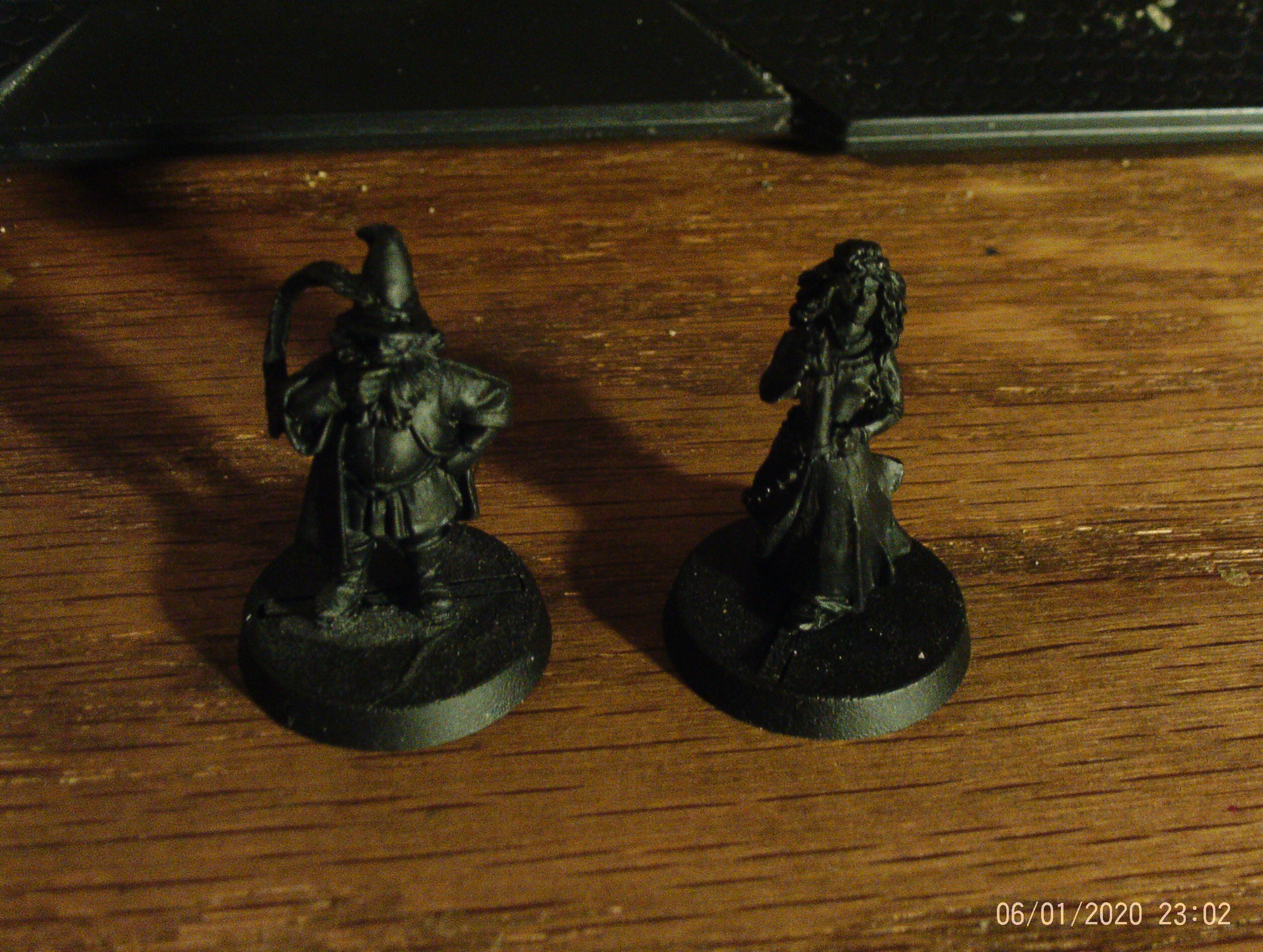 Tom Bombadil and Goldberry primed