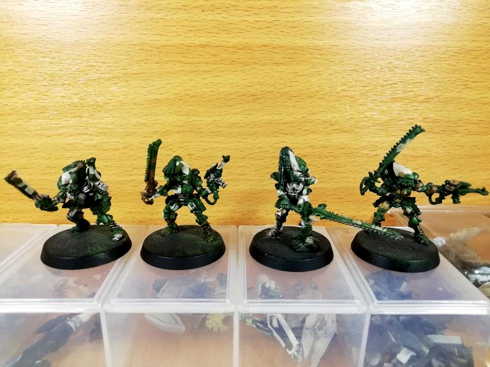 Biel-tan, Camouflage, Eldar, Striking Scorpions