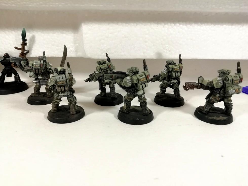 412, 412th, Cadians, Camouflage, Kasrkin, Sturnn