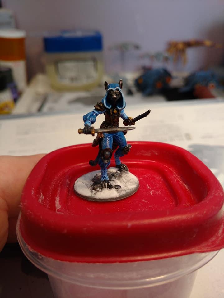 Tabaxi Rogue