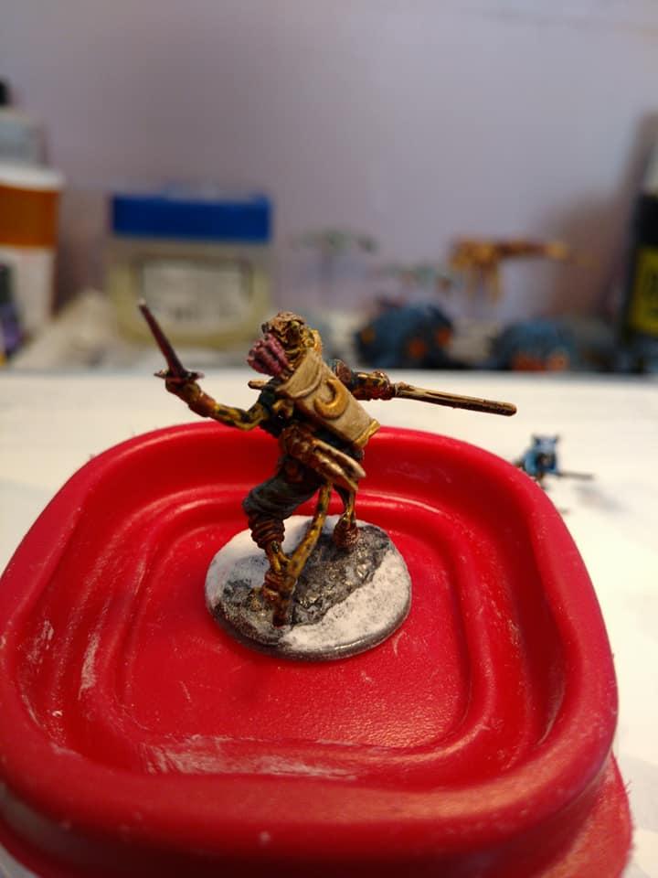 Tabaxi Archer back