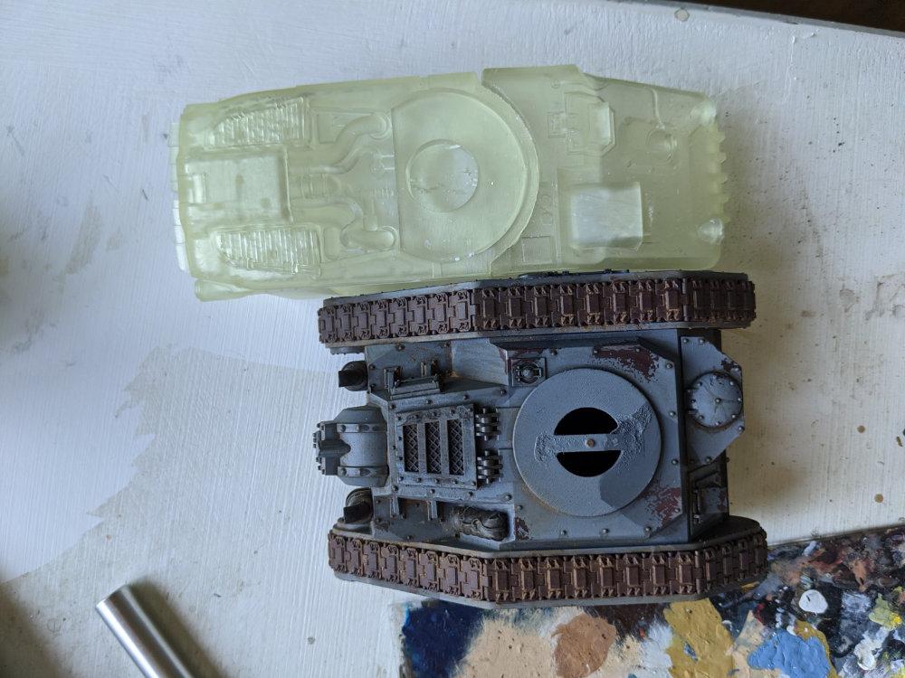 Caiman scale