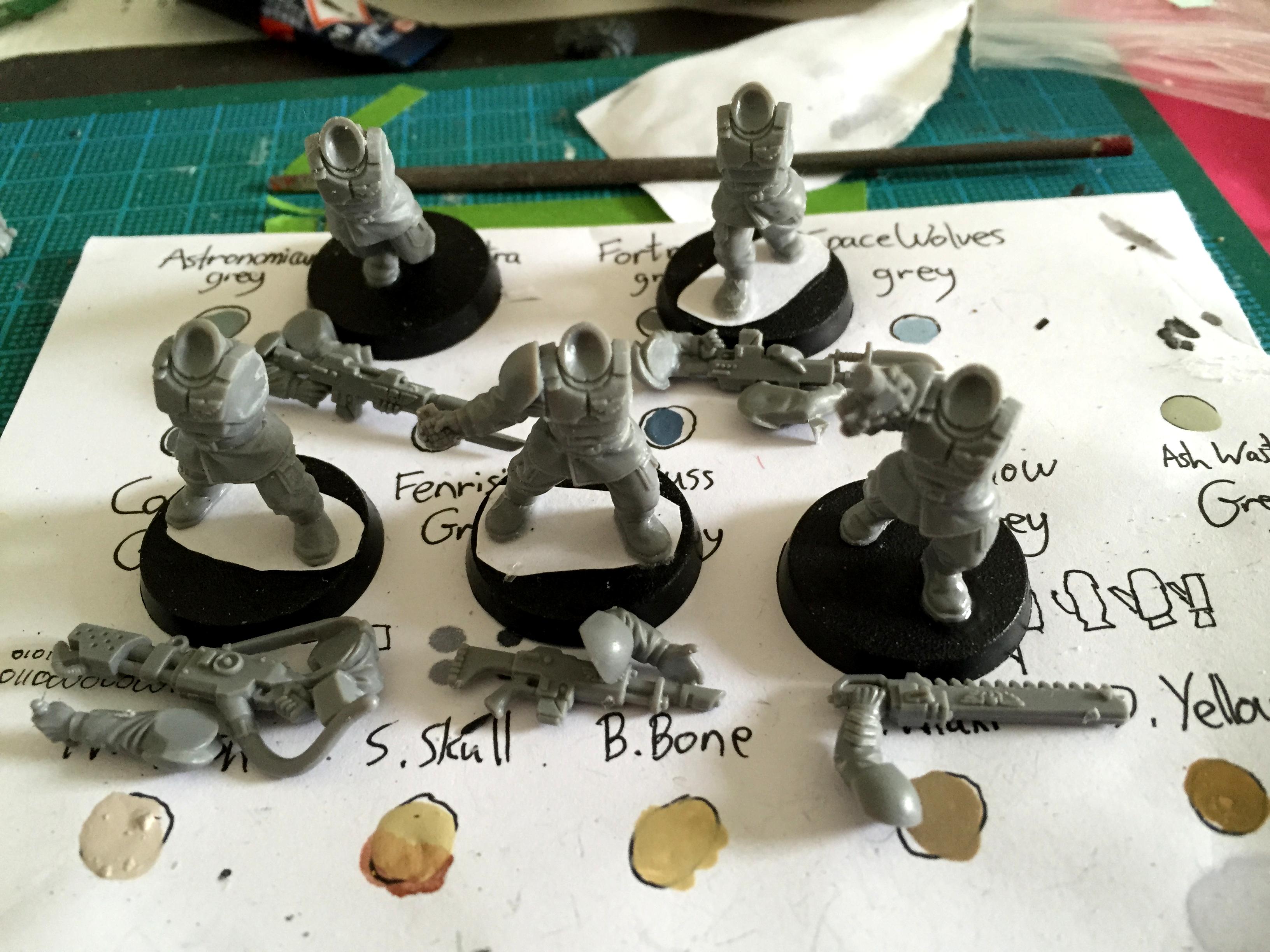 Cadians WIP