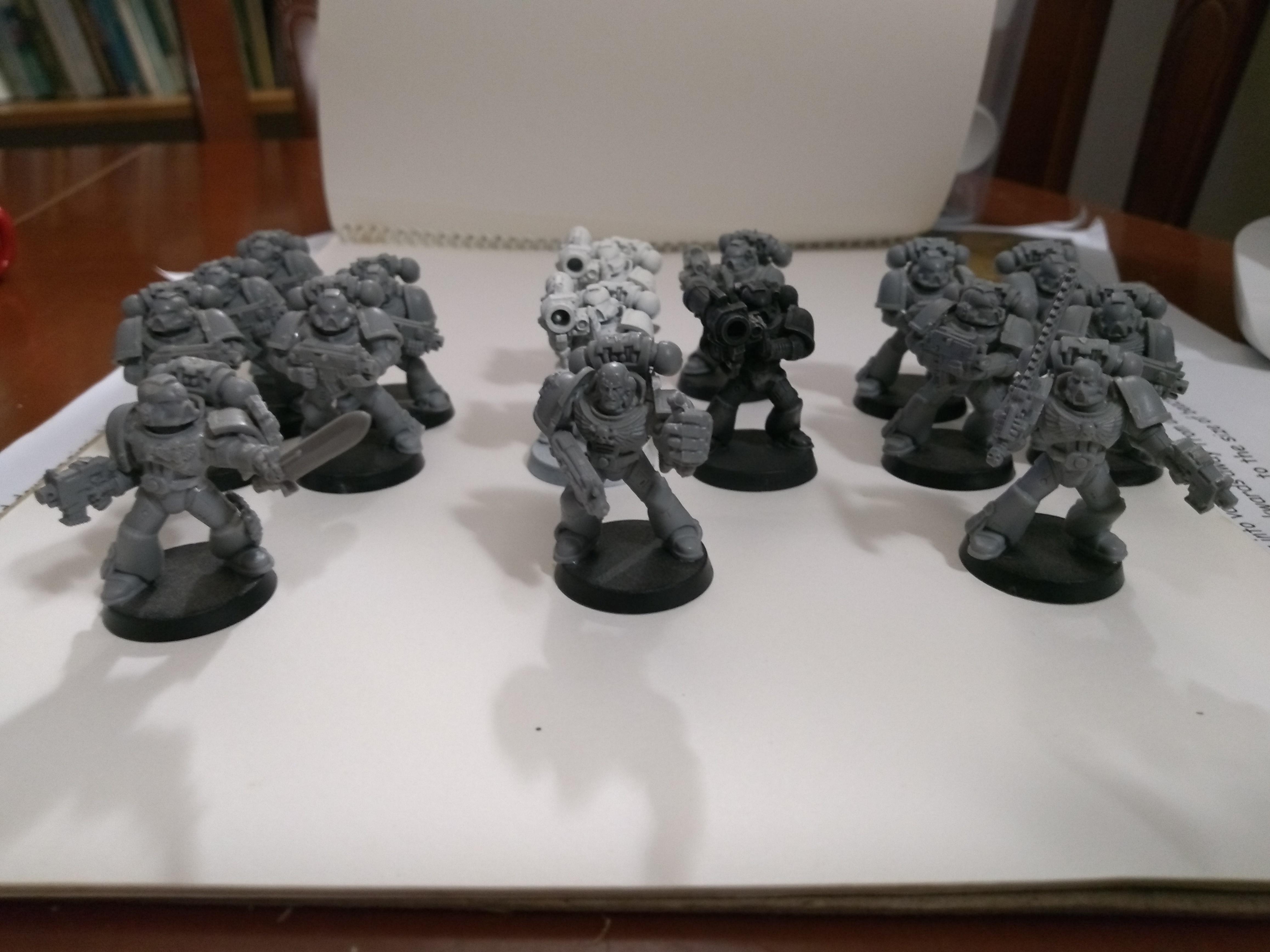 whole group of Taccies + command