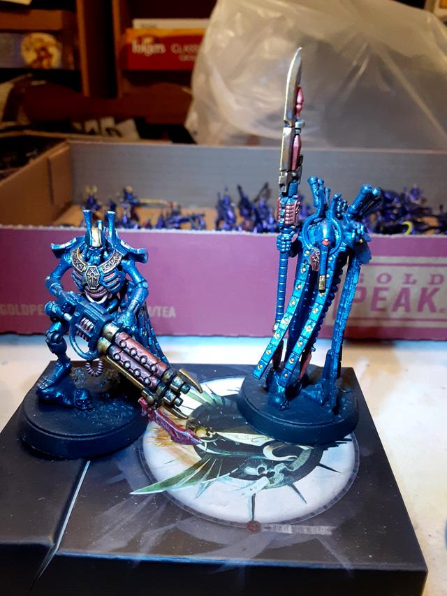 Necrons, Plasmancer, Royal Warden