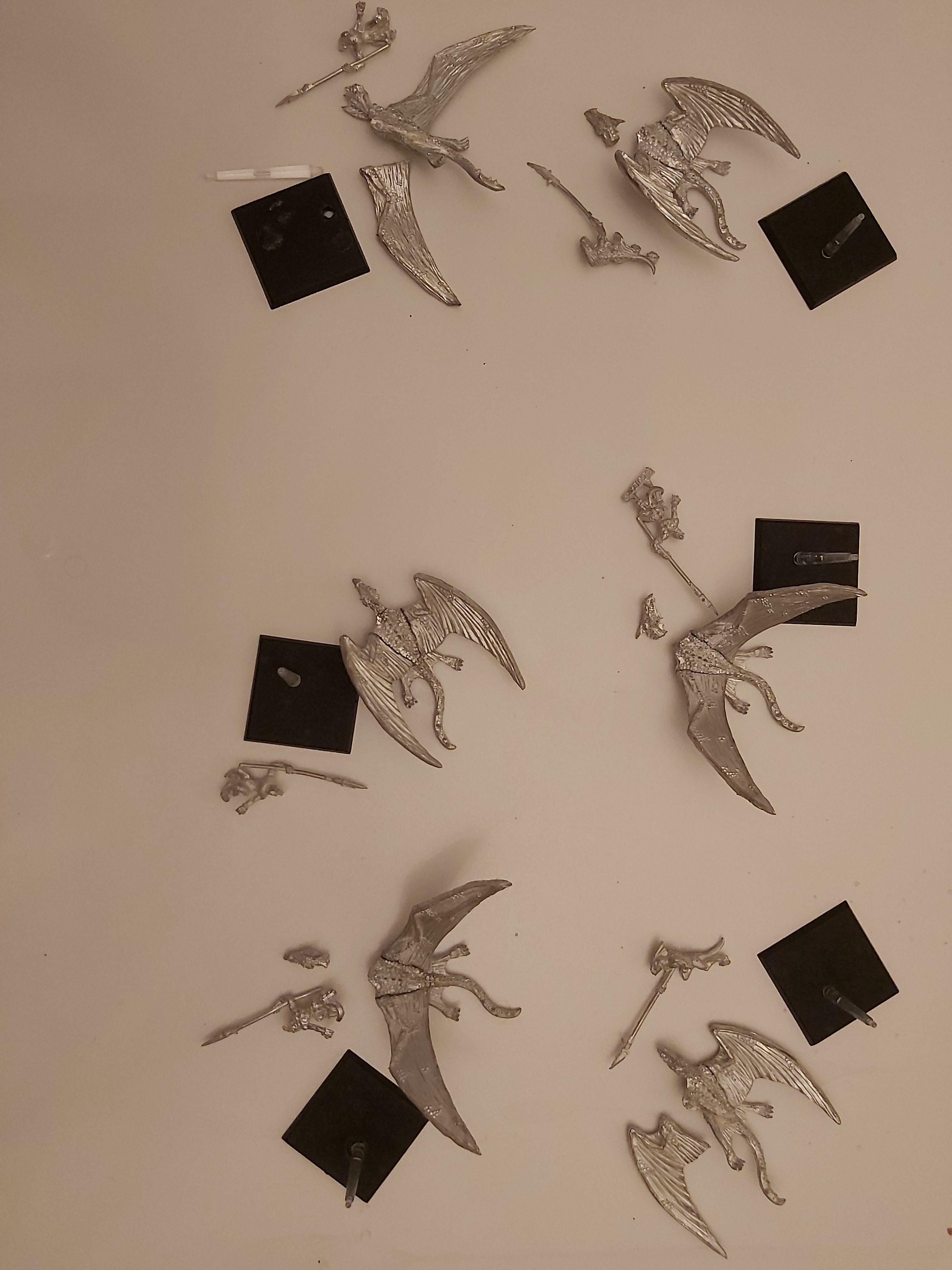Terradon Riders