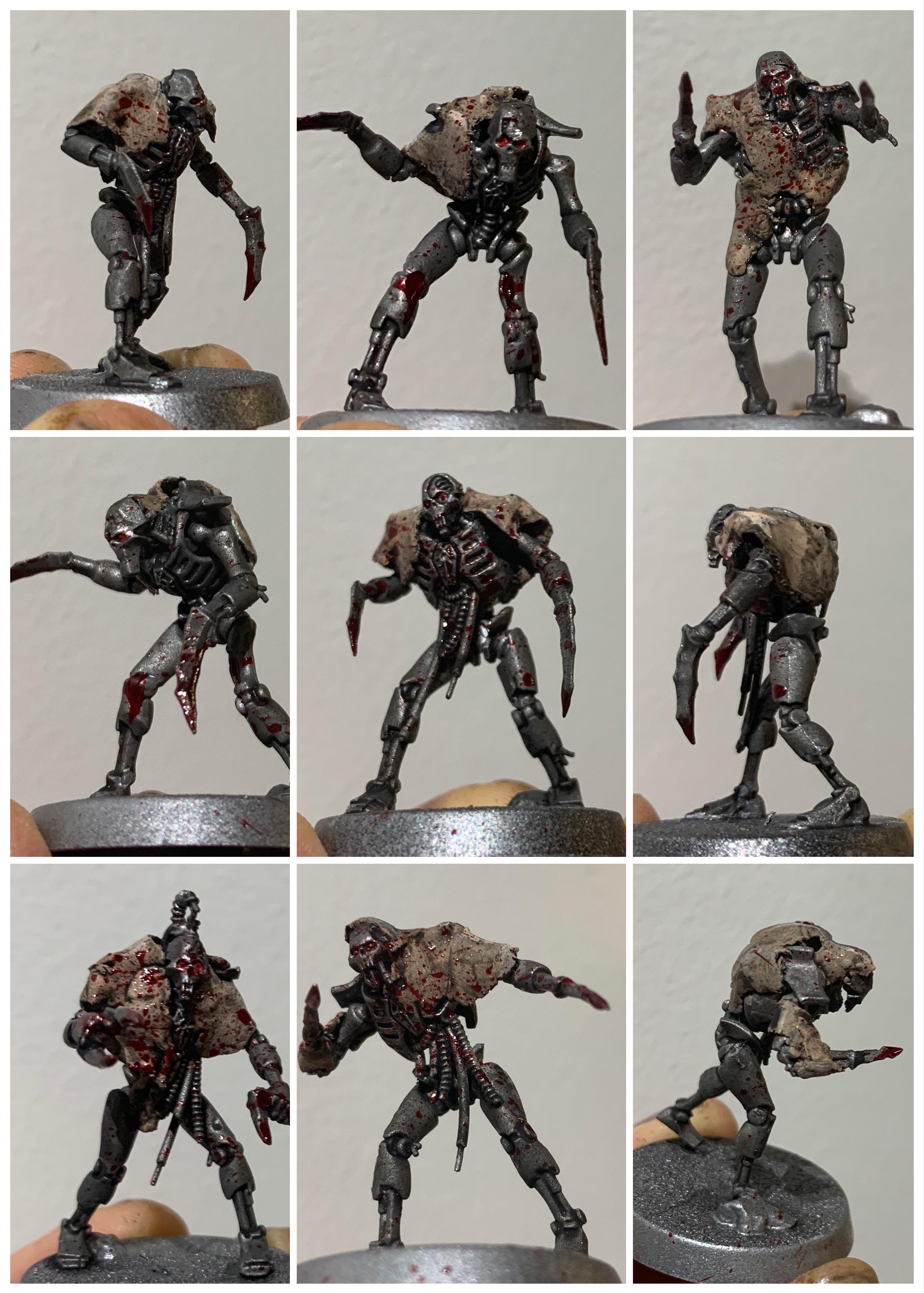 Flayed ones WIP