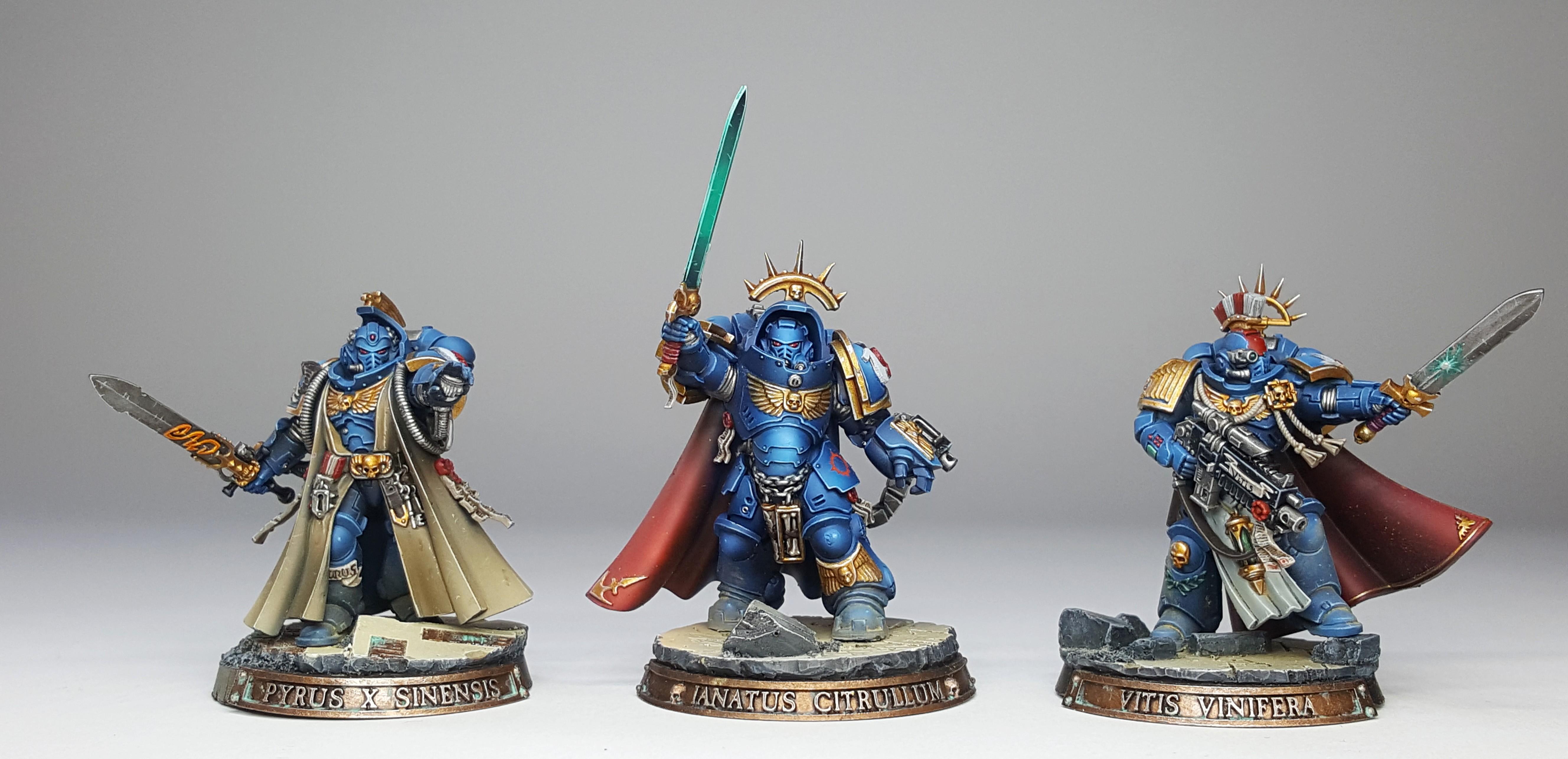 Primaris, Space Marines, Ultramarines, Warhammer 40,000