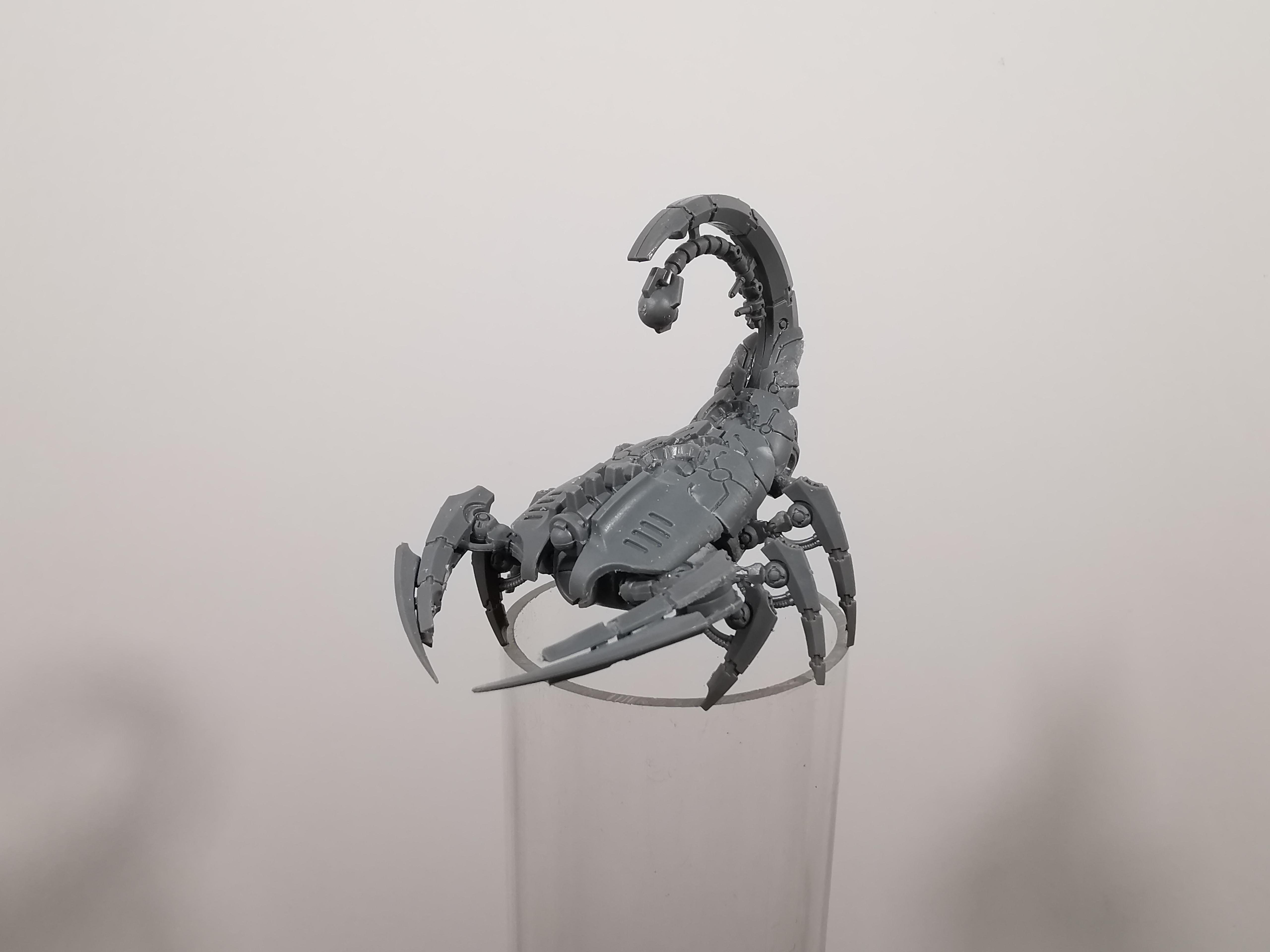Scorpion Wraith 1