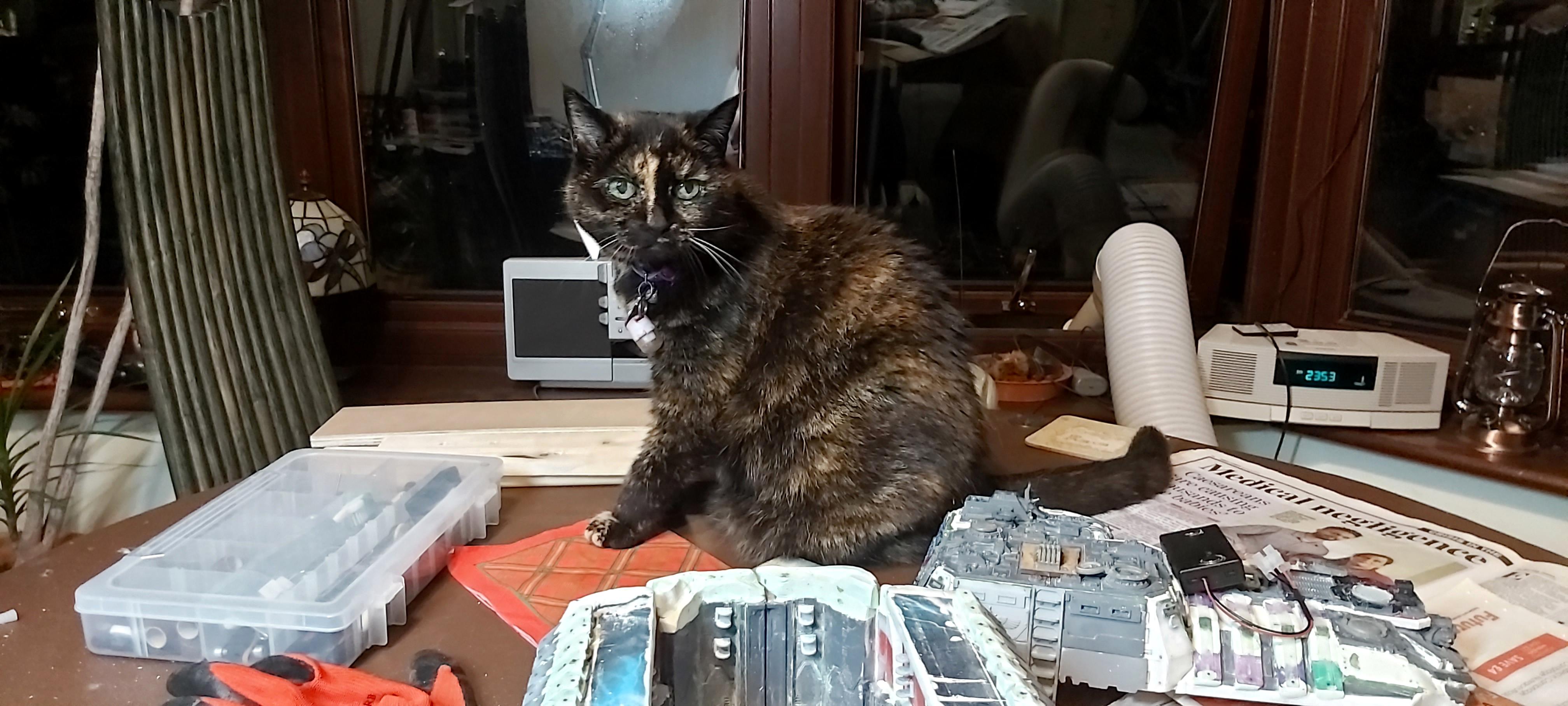 30k, Horus Heresy, Mastodon, Space Marines, Thousand Sons, Warhammer 40,000