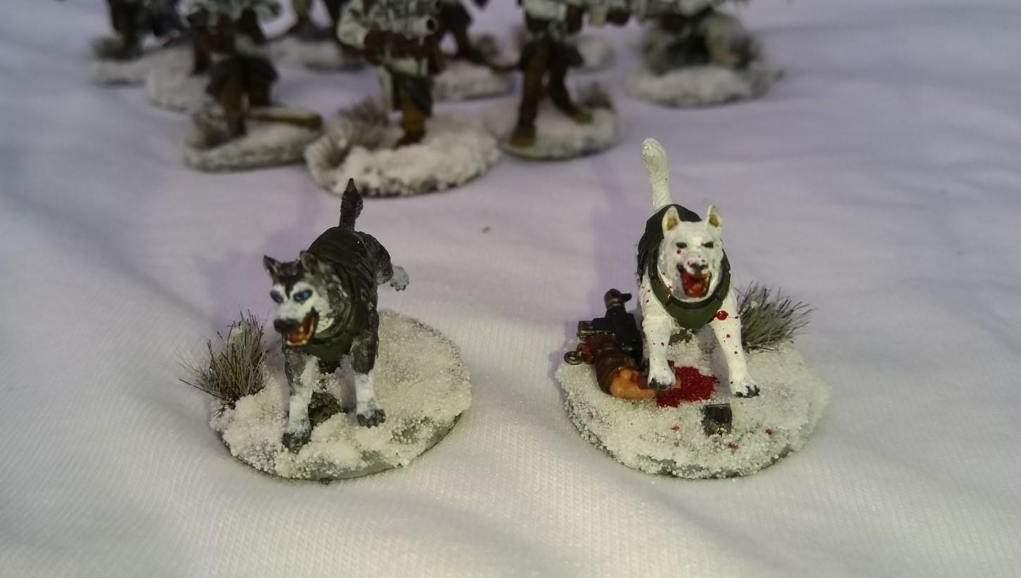 Anvil Industry, Astra Militarum, Canids, Finland, Good Bois, Guard Dogs, Imperial Guard, Light Infantry, Mountain Troops, Ski Soldiers, Skis, Snow, Winter War