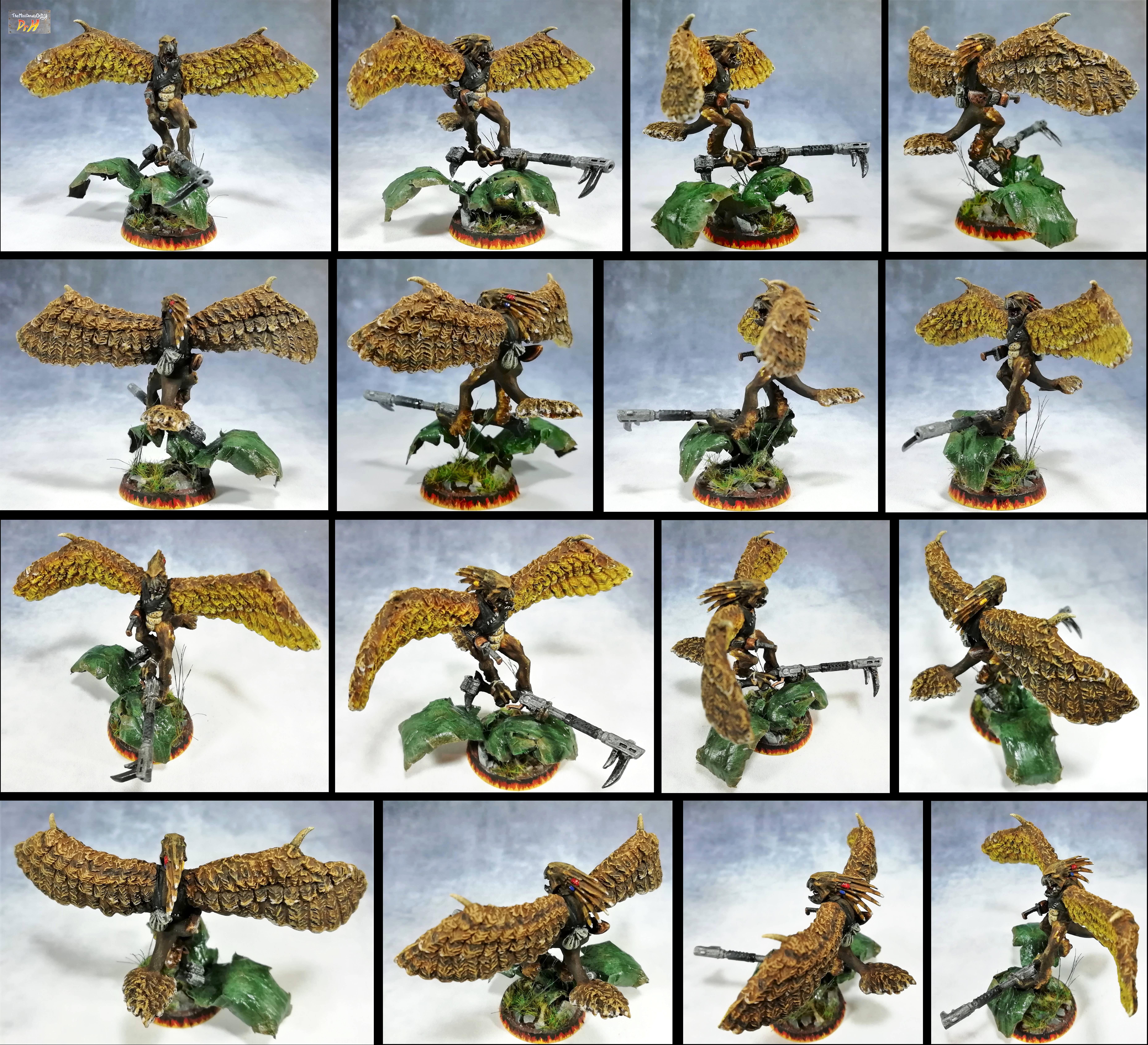 Flying, Kroot, Mercinary, Vulture, Winged
