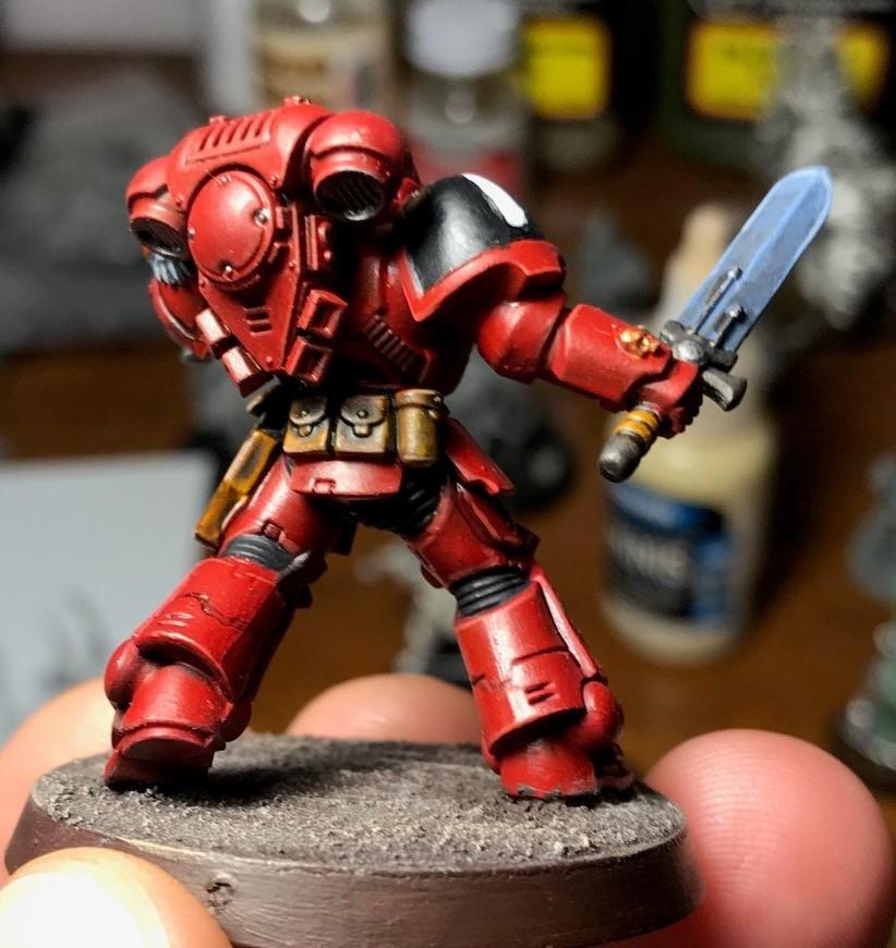 Primaris Lt (Back)