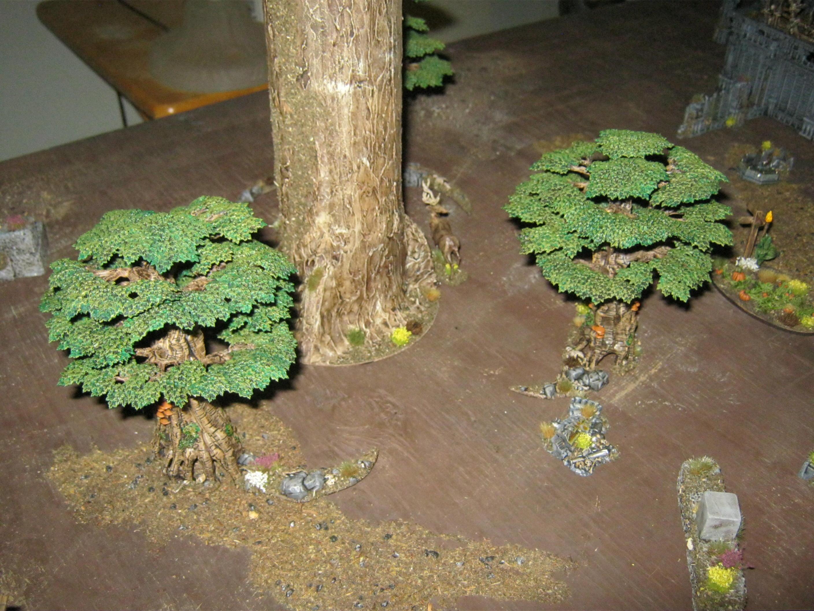 Terrain, terrain