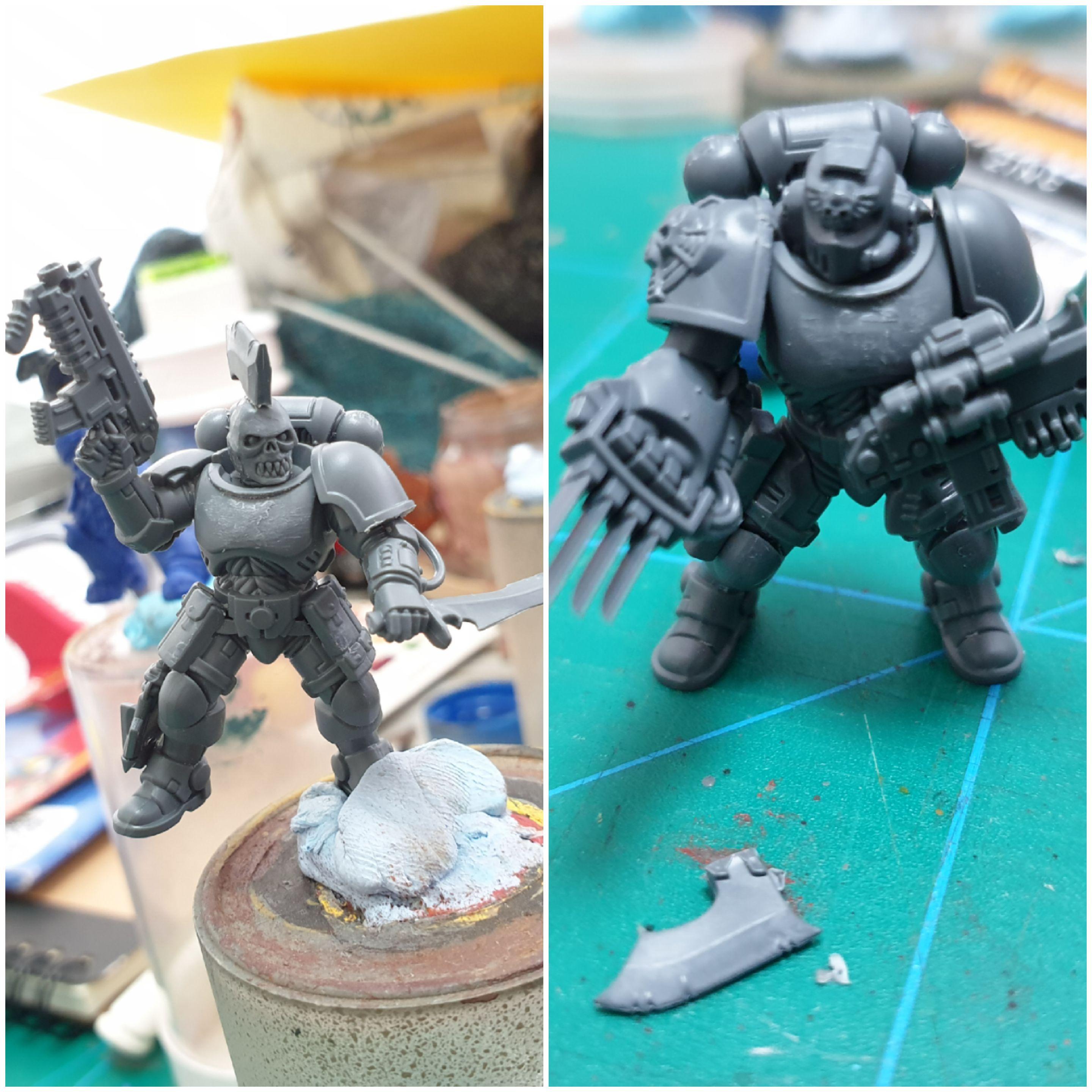 Carchadon sergeants