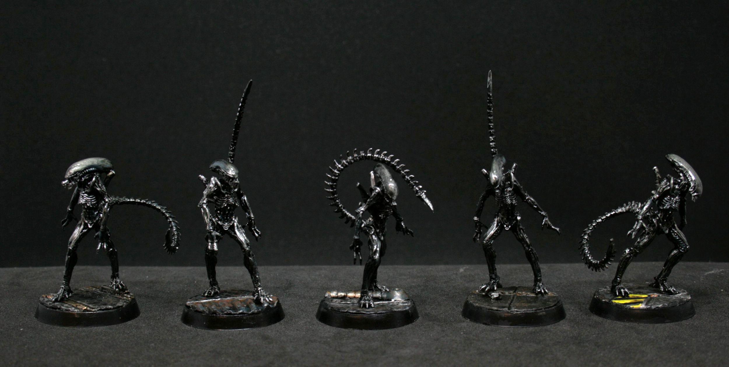 Aliens, Avp, Xenomorphs