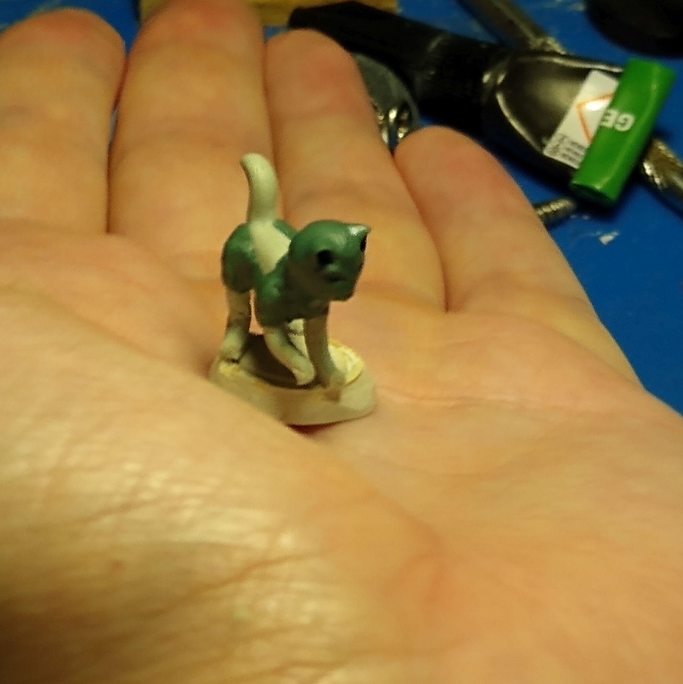 cat