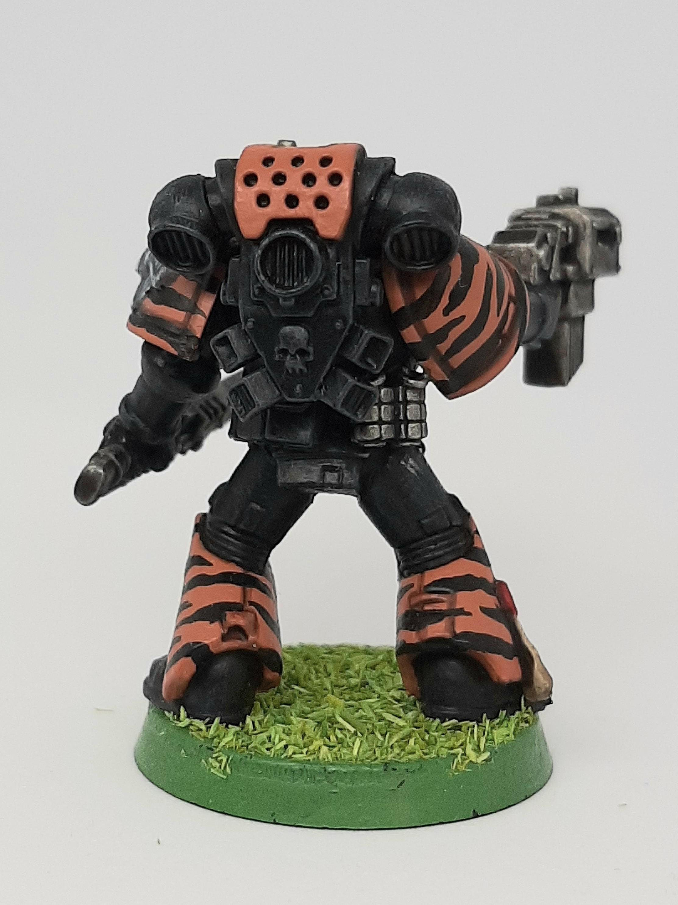 Adeptus, Astartes, Camouflage, Conversion, Custom, Fighting, Forest, Jungle, Kitbash, Space, Space Marines, Tigers, Veda