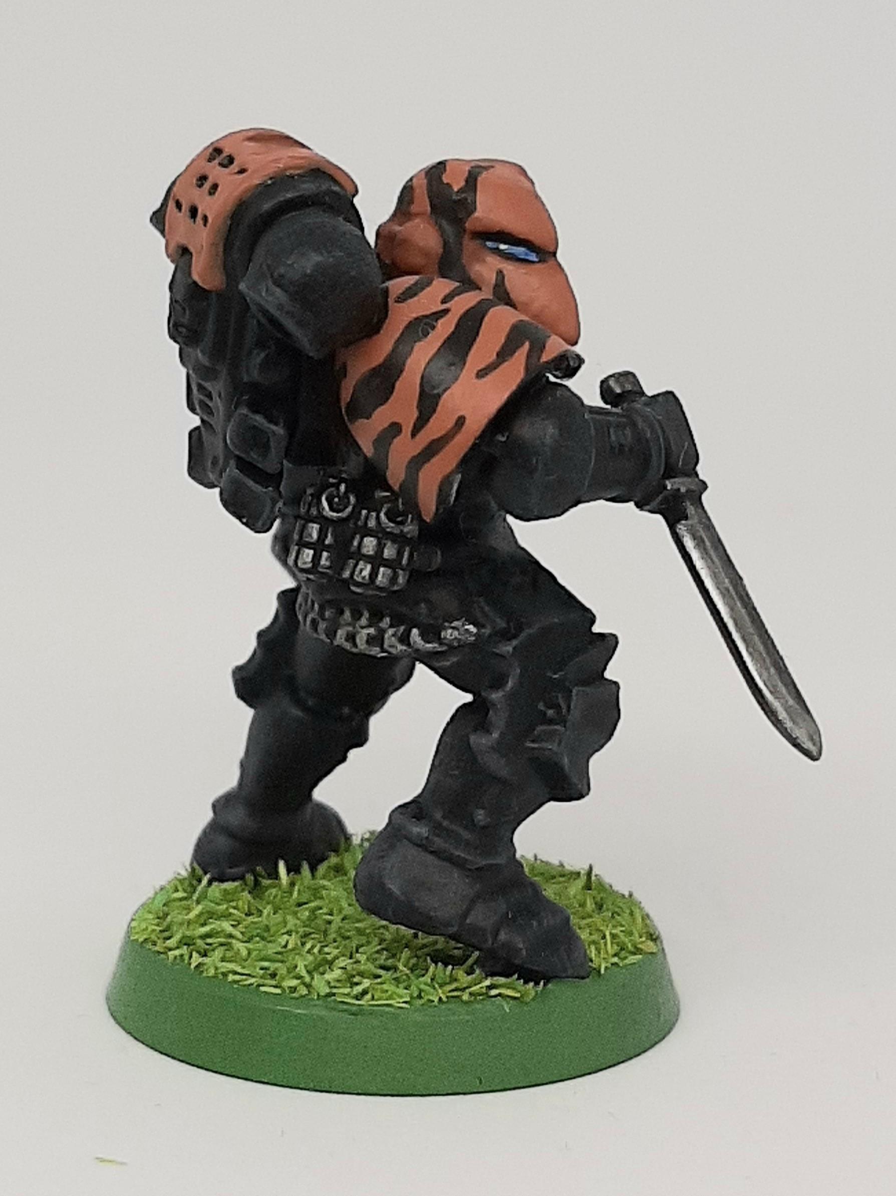 Adeptus, Astartes, Camouflage, Conversion, Custom, Fighting, Forest, Jungle, Kitbash, Space, Space Marines, Tigers, Veda