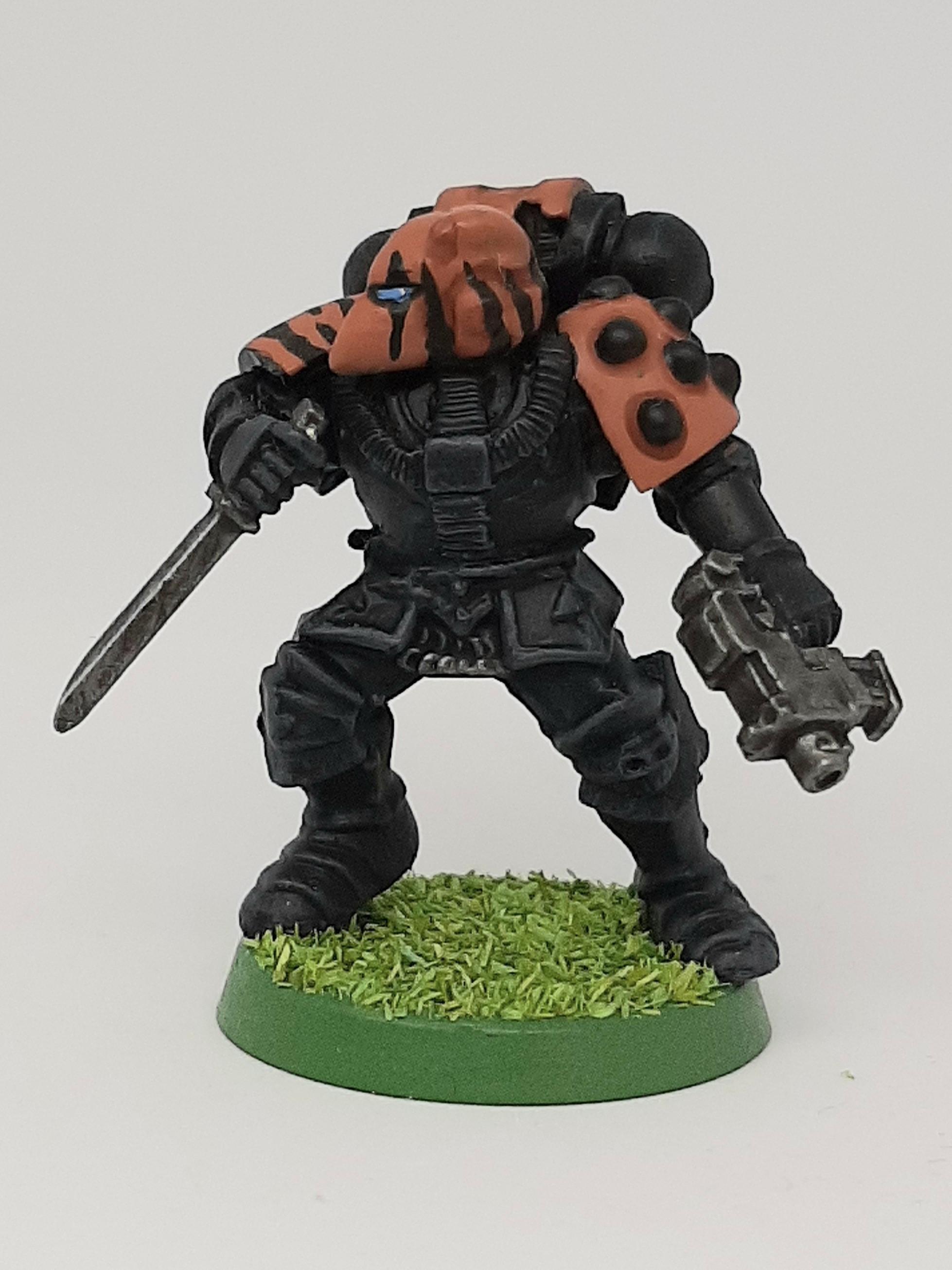 Adeptus, Astartes, Camouflage, Conversion, Custom, Fighting, Forest, Jungle, Kitbash, Space, Space Marines, Tigers, Veda