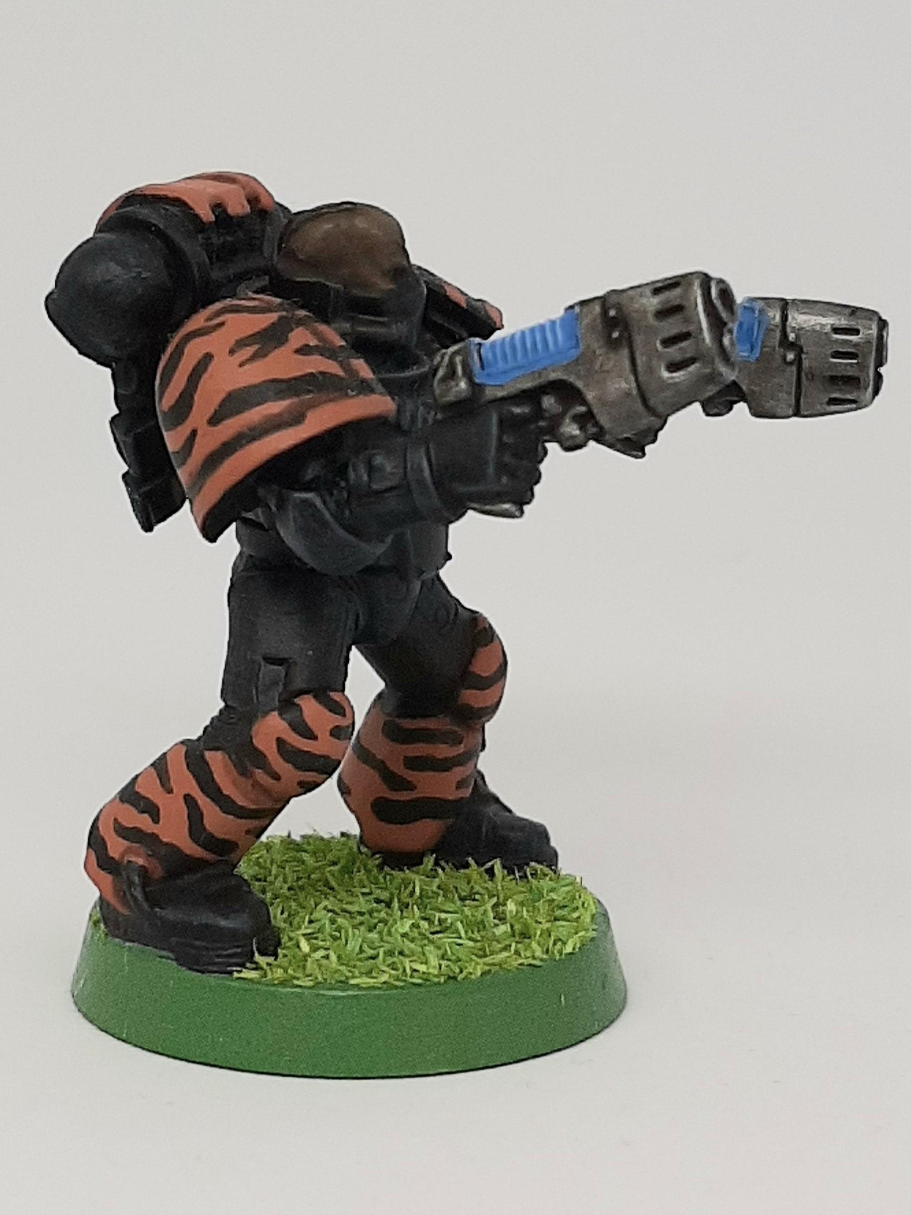 Adeptus, Astartes, Camouflage, Conversion, Custom, Fighting, Forest, Jungle, Kitbash, Space, Space Marines, Tigers, Veda