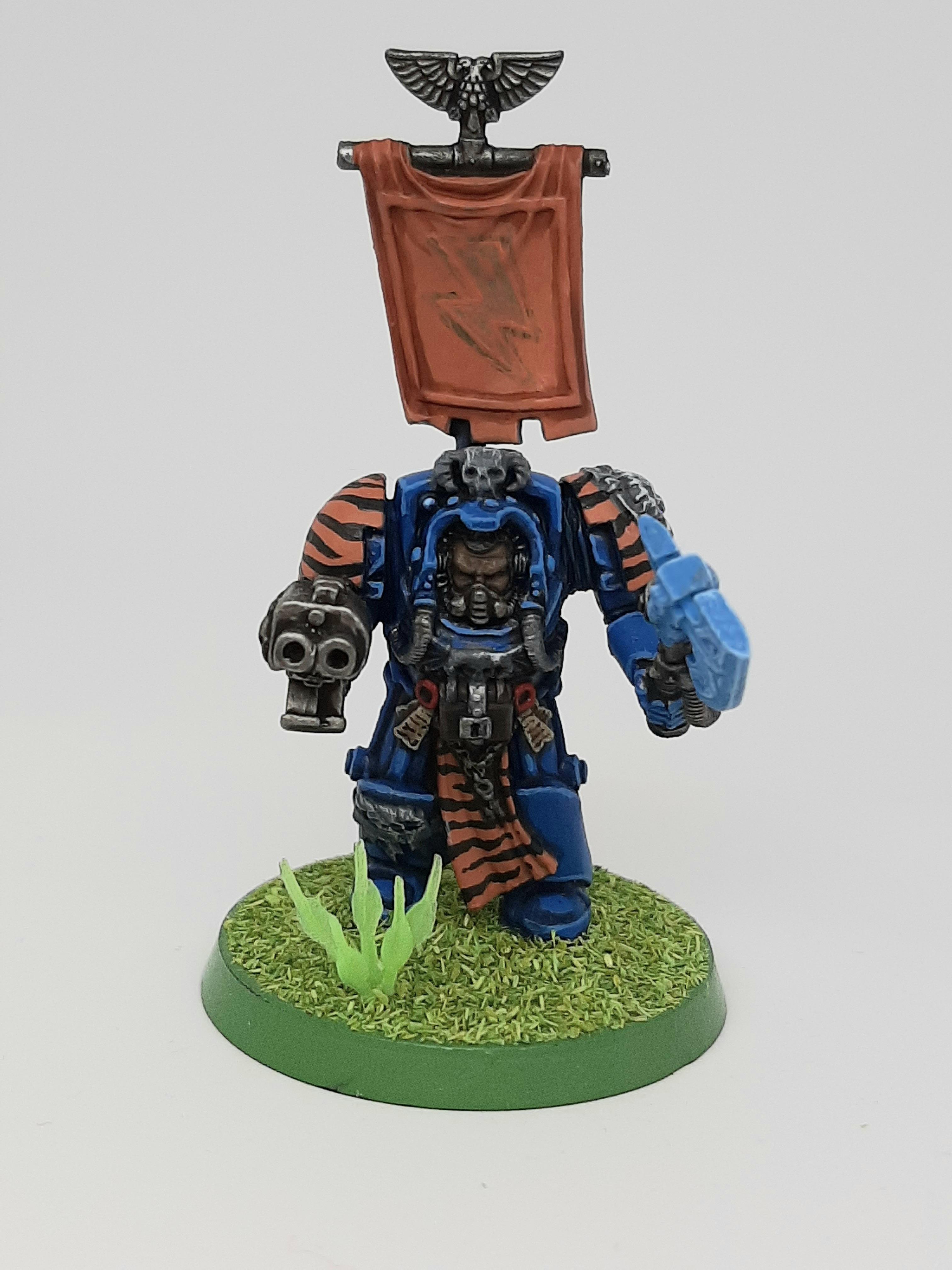 Adeptus, Astartes, Camouflage, Conversion, Custom, Fighting, Forest, Jungle, Kitbash, Space, Space Marines, Tigers, Veda