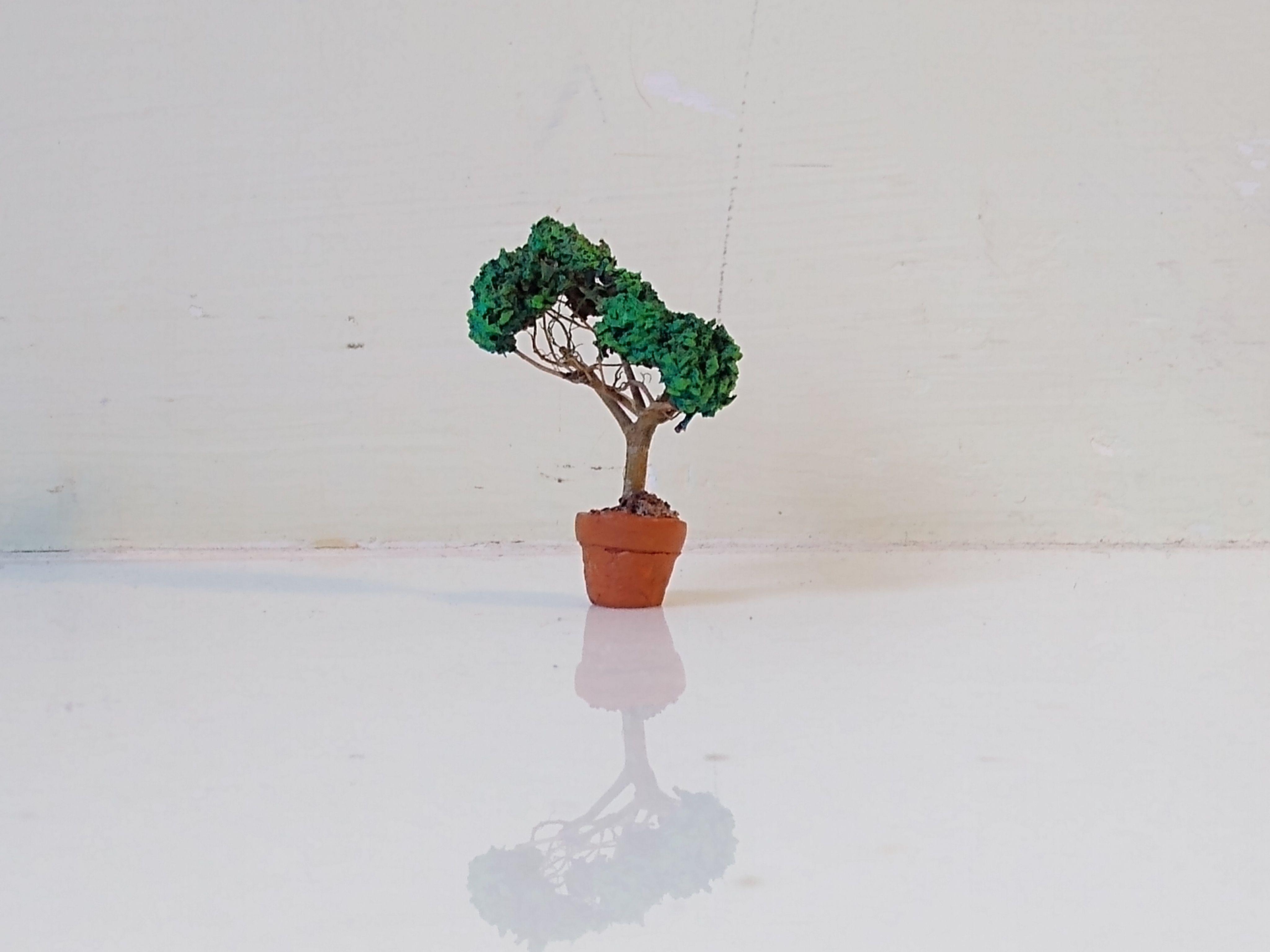 Dungeons And Dragons, Terrain, Trees