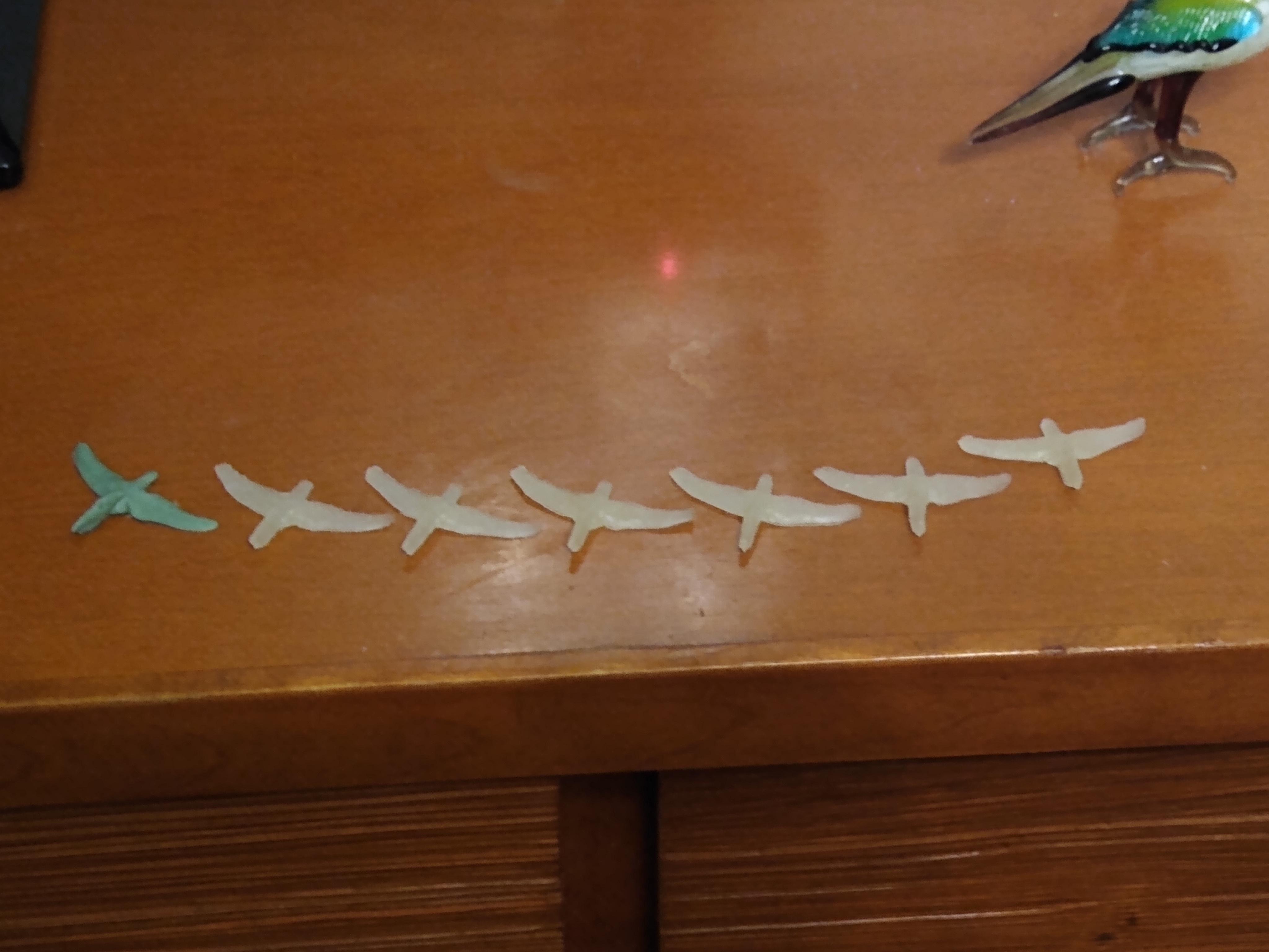 pterosaurs