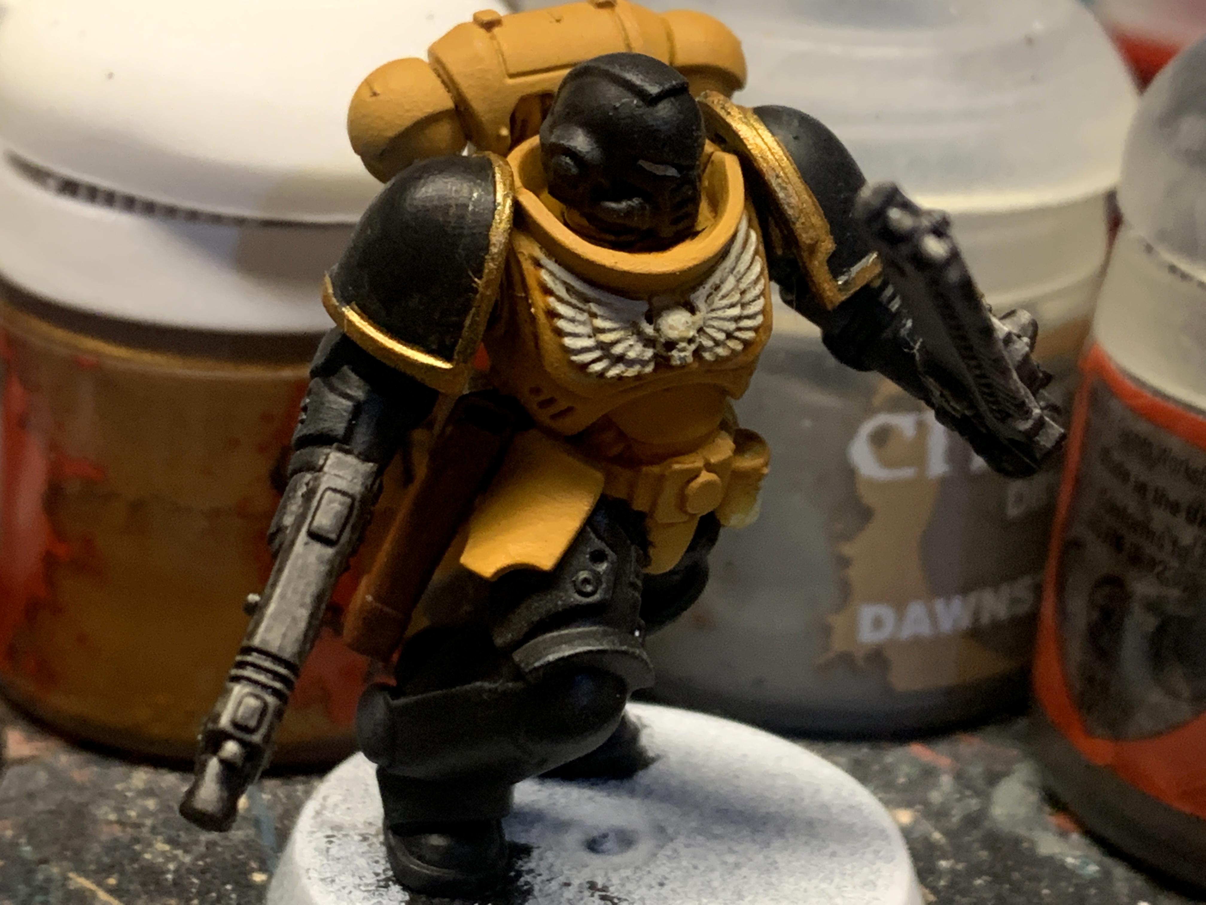 Aquila