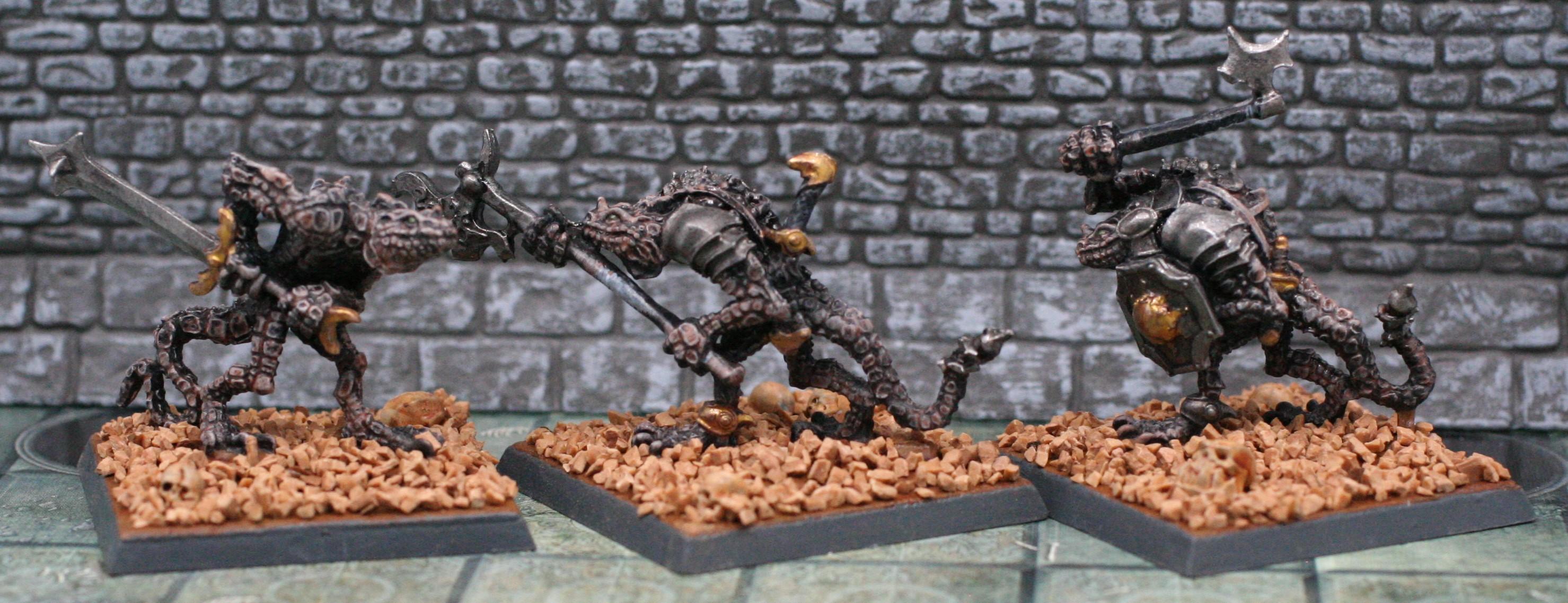 Troglodytes 1
