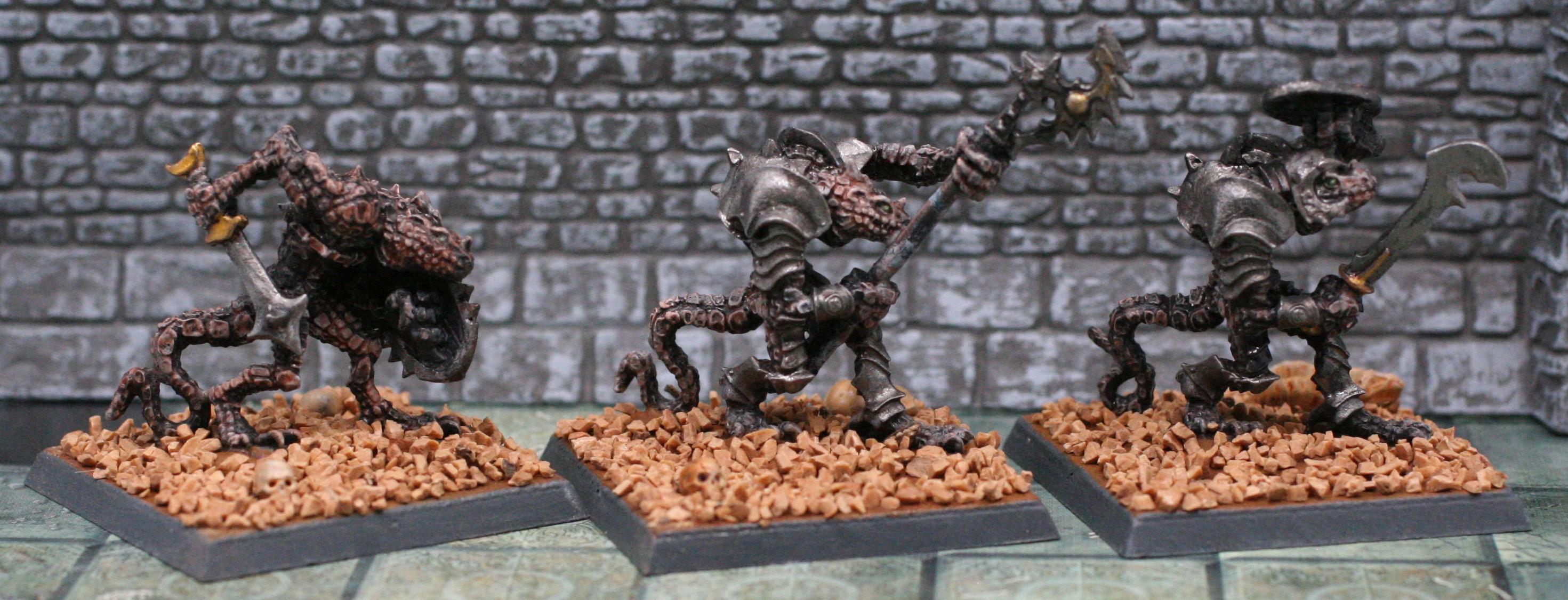 Troglodytes 3
