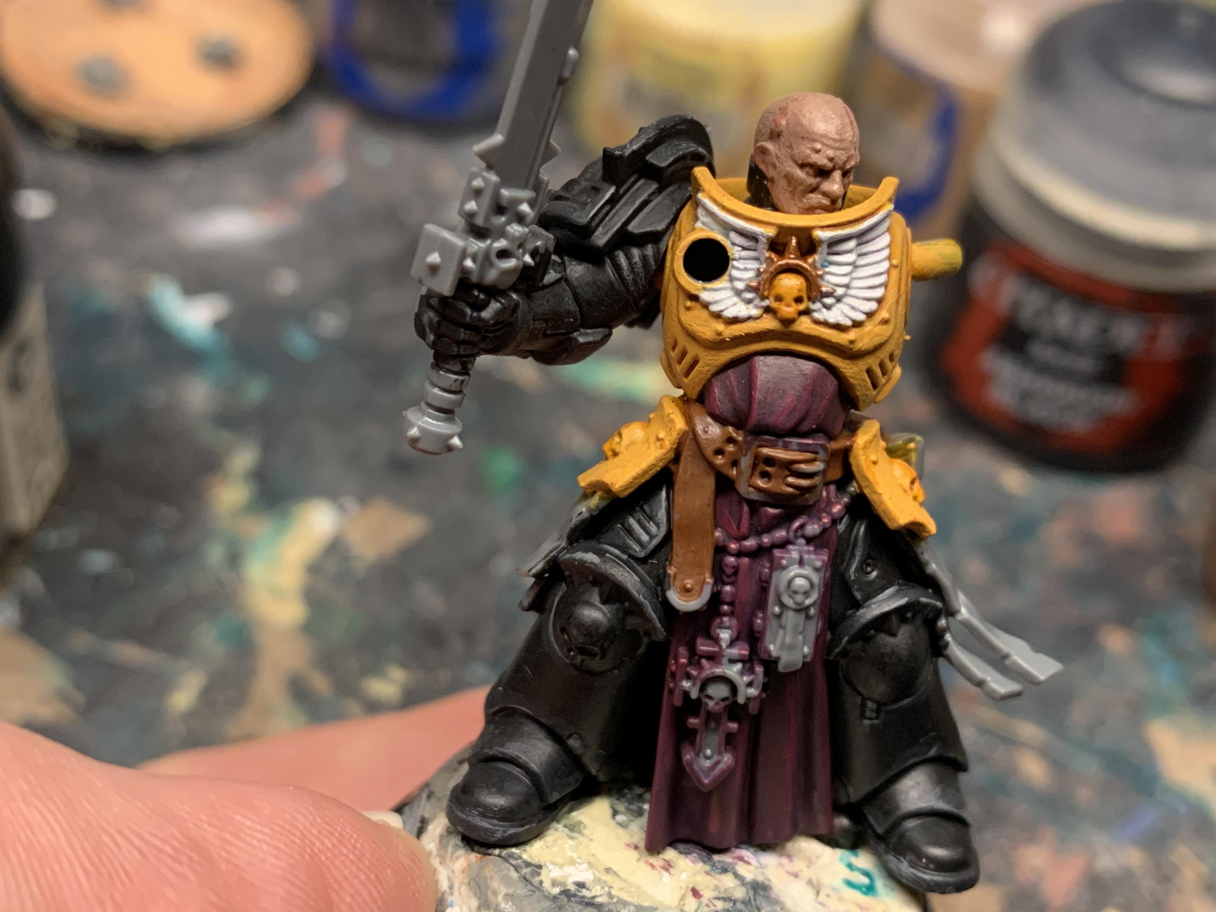 Sir duplicatus 