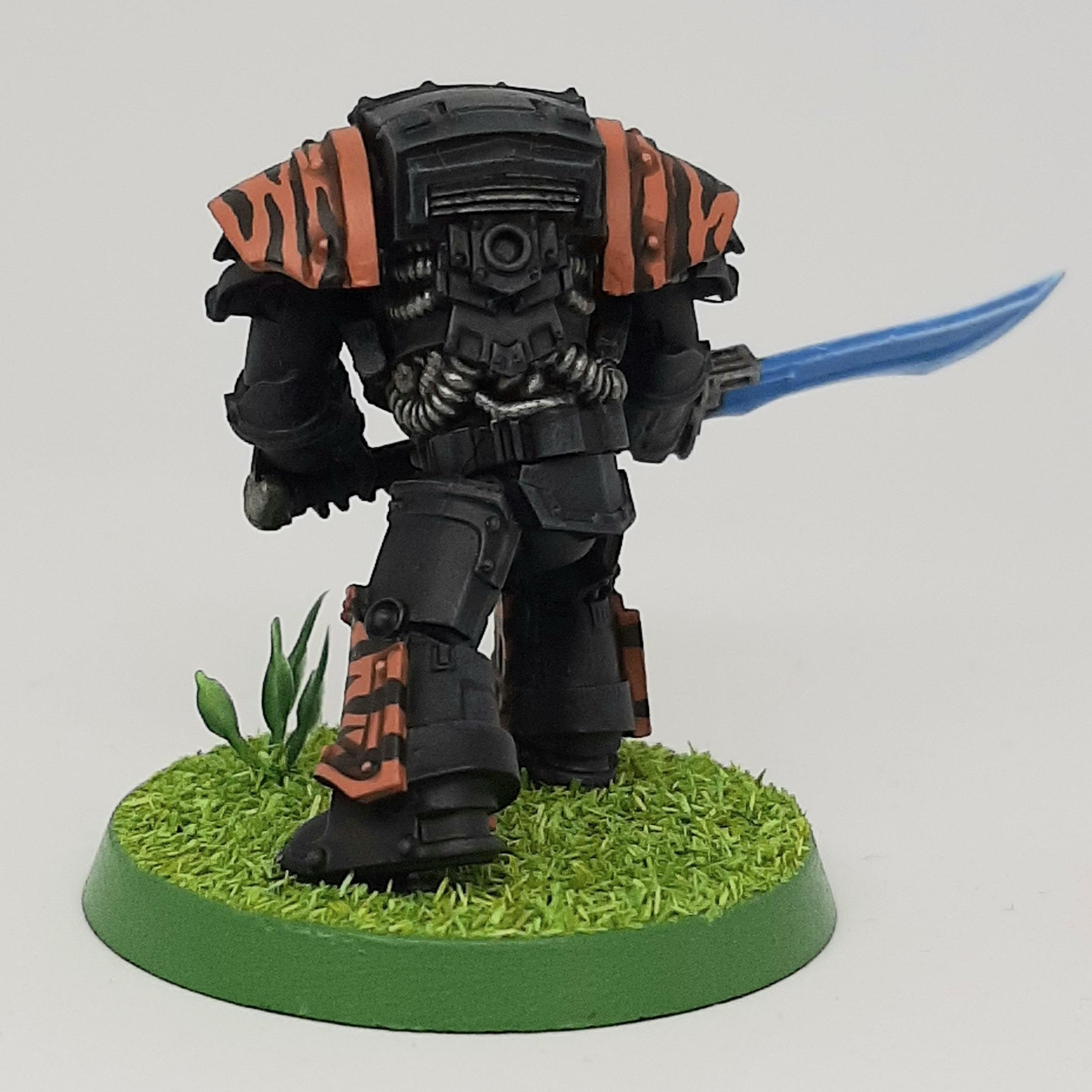 Adeptus, Astartes, Camouflage, Conversion, Custom, Fighting, Forest, Jungle, Kitbash, Space, Space Marines, Terminator Armor, Tigers, Veda