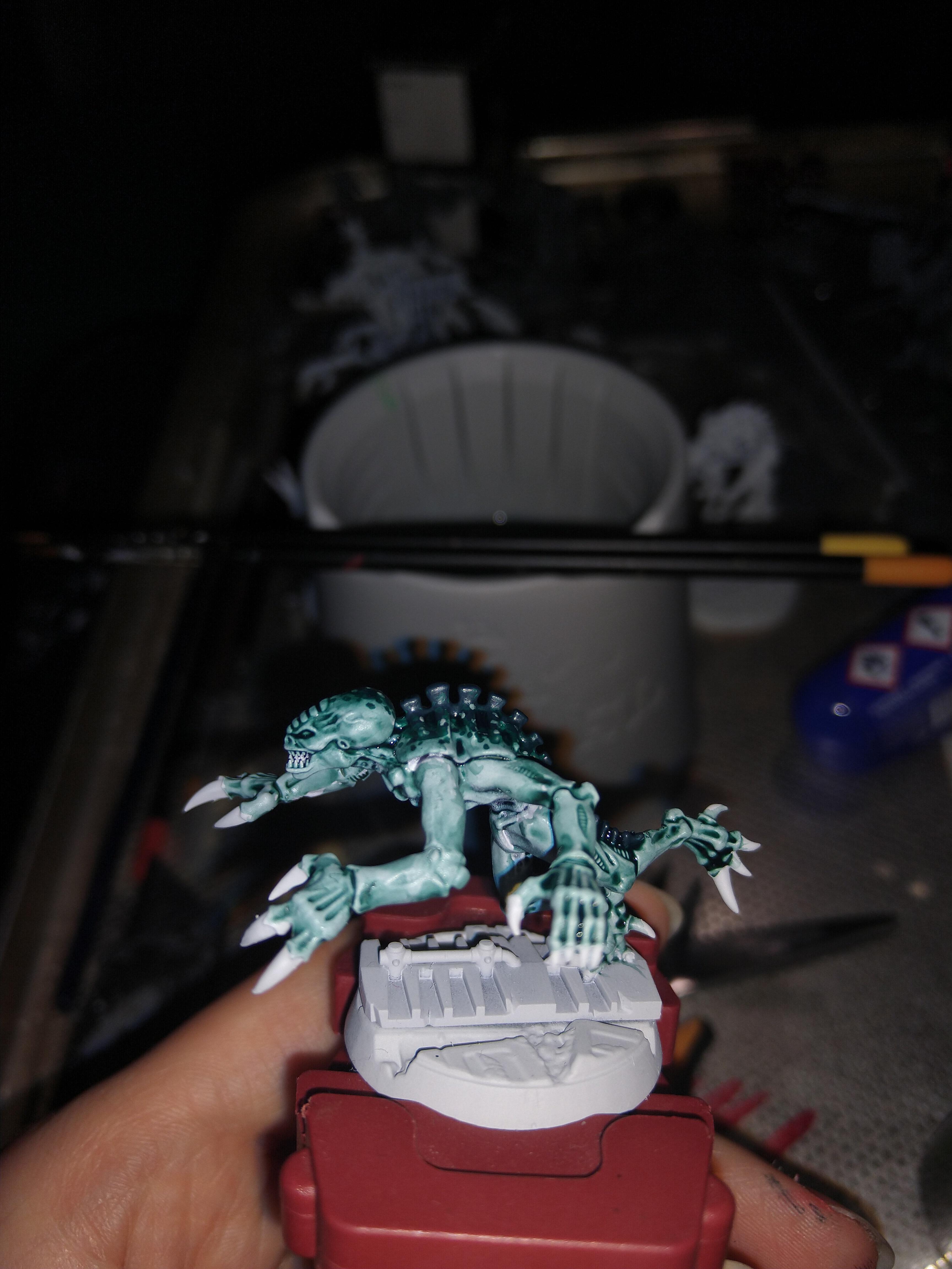 WIP paint scheme