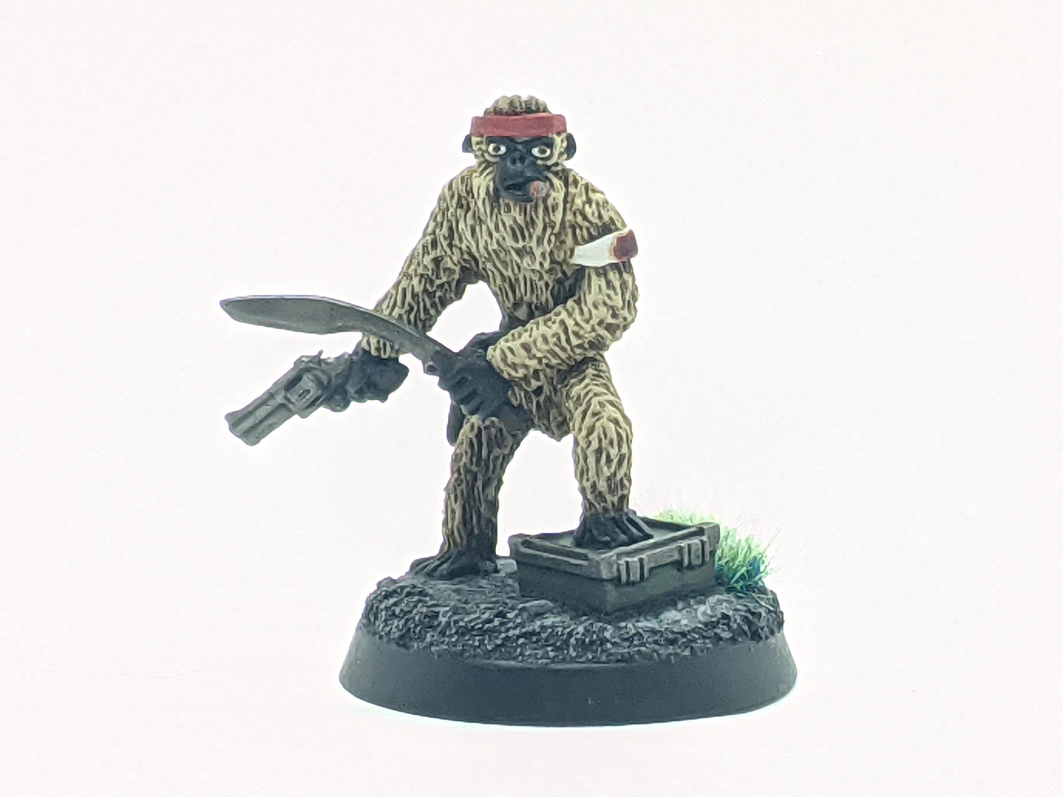 Astra Militarum, Imperial Guard, Inquisition, Inquisitor, Jokaero, Oldhammer, Space Apes