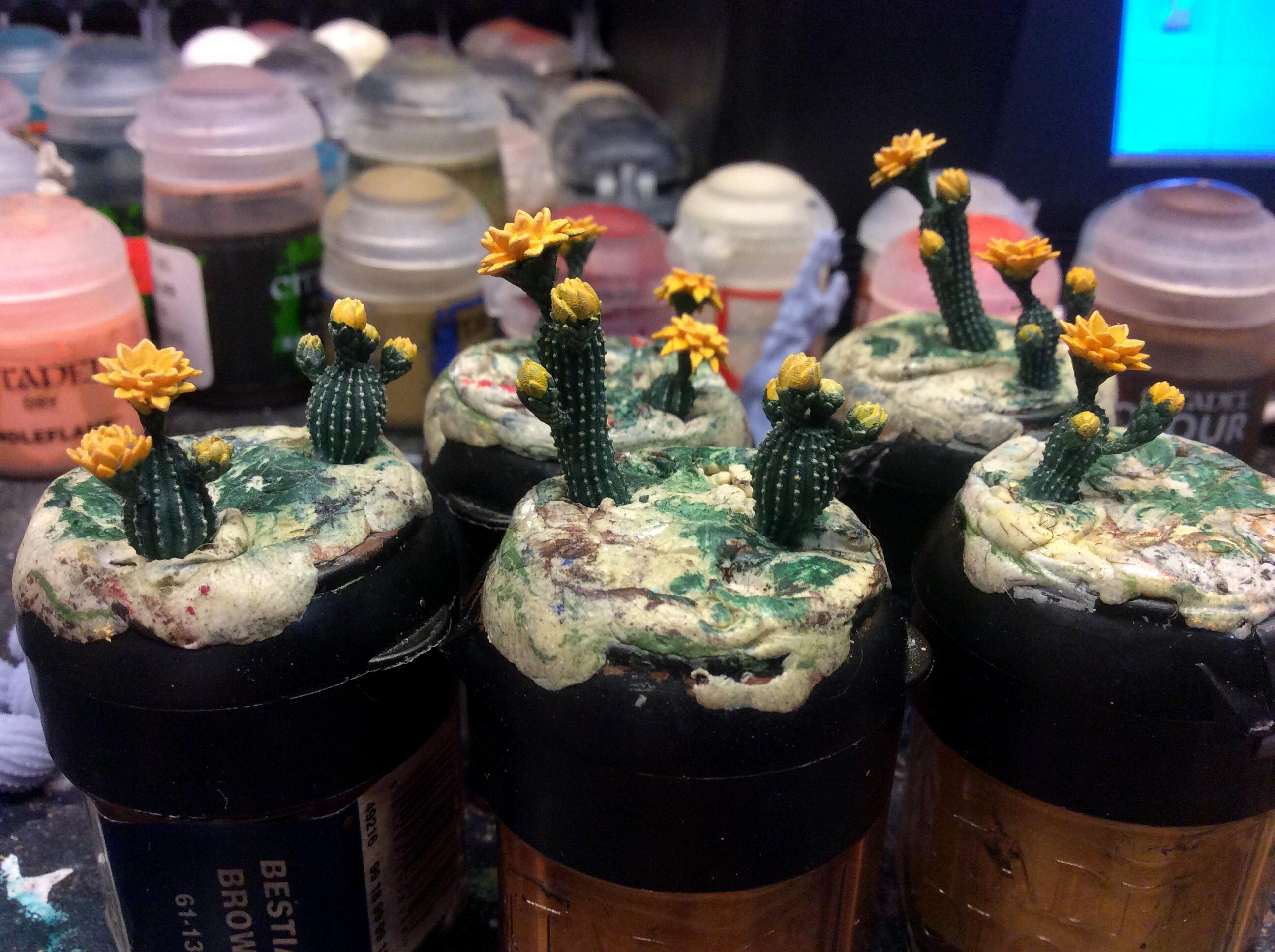 Yellow cacti