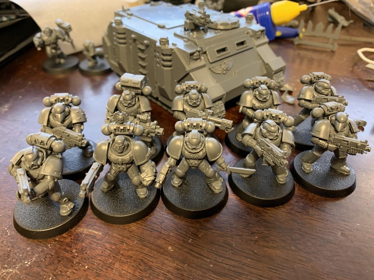 Rhino, Space Marines, Tac Squad, Work In Progress
