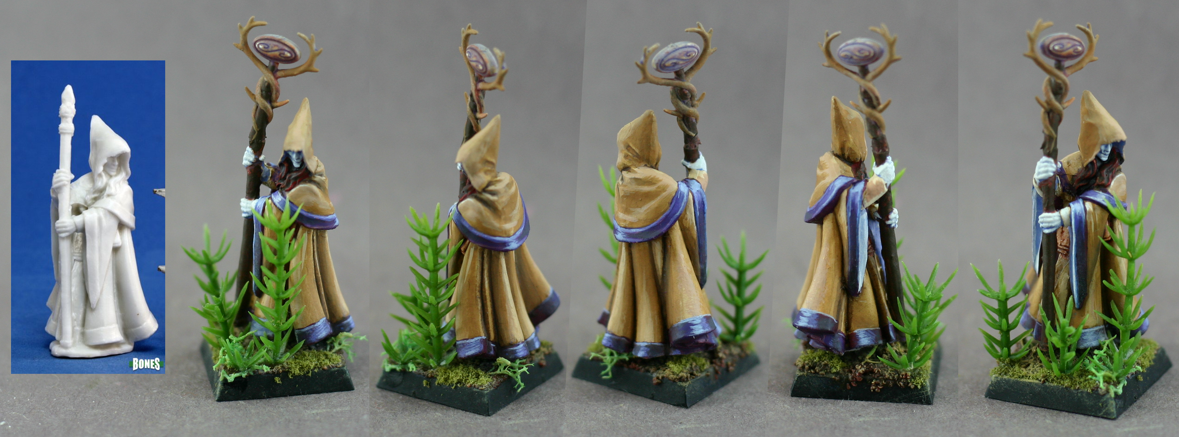 Anirion, Reaper, Wizard, Wood Elves