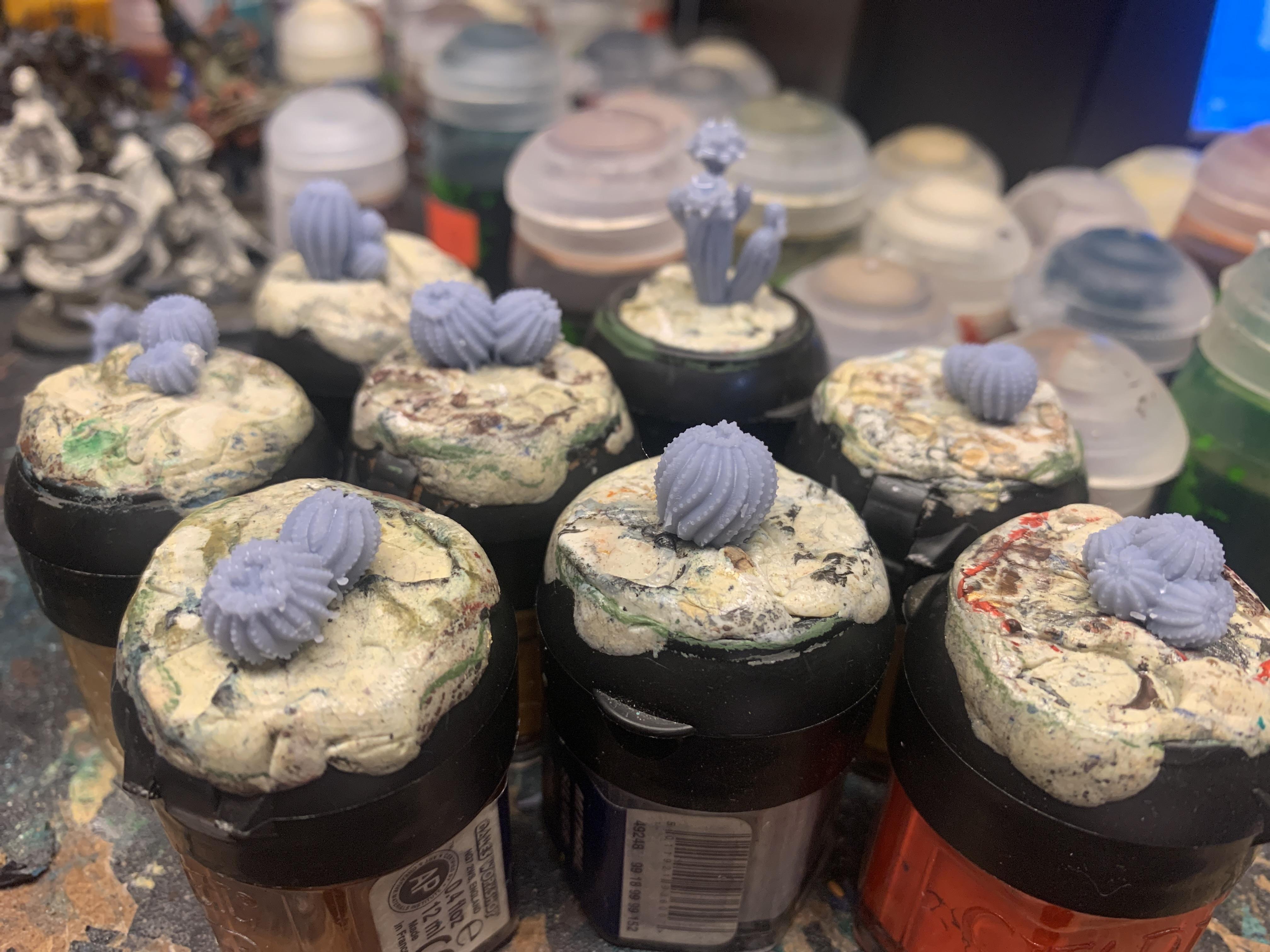 Cacti