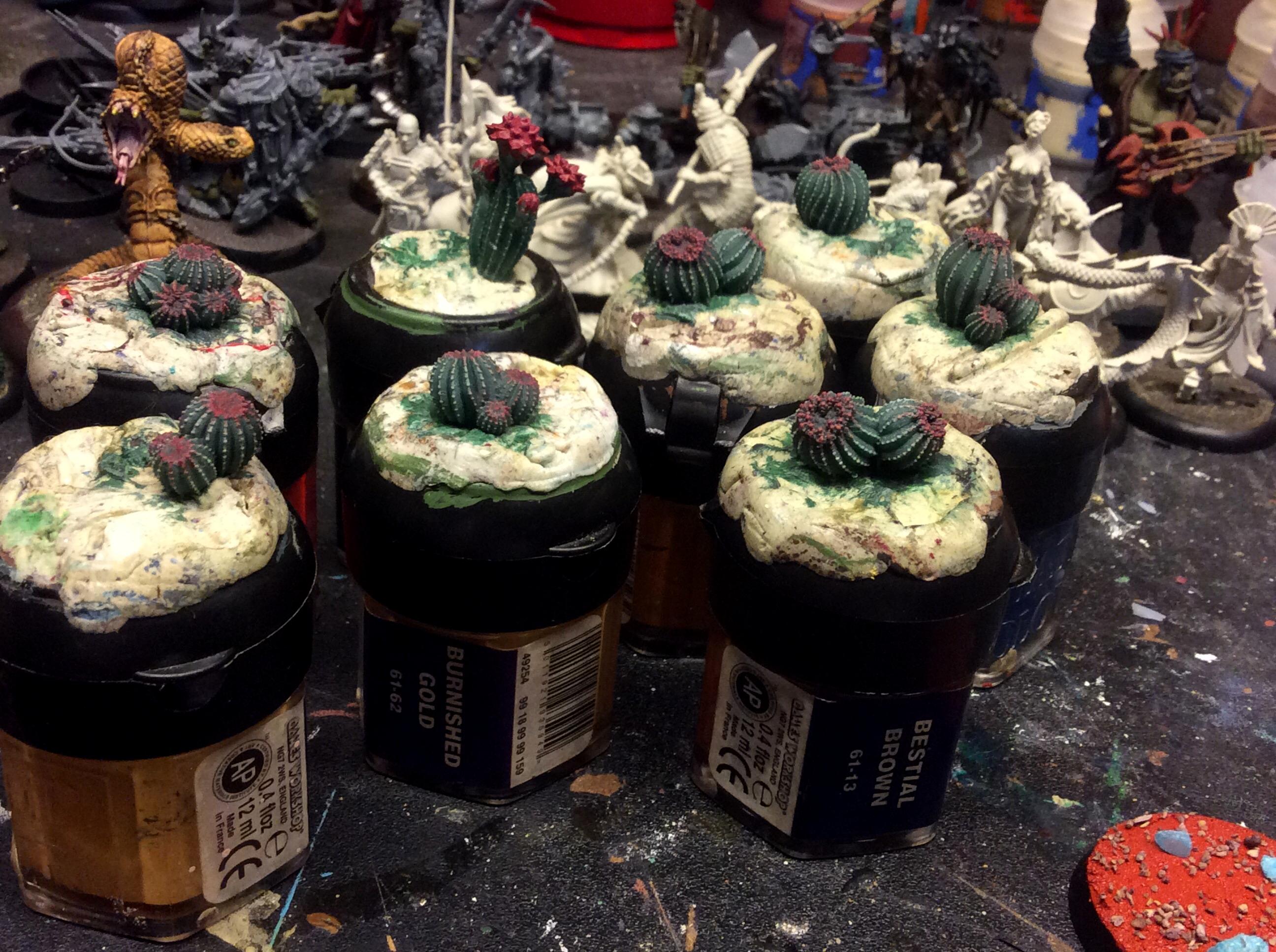 Cacti2