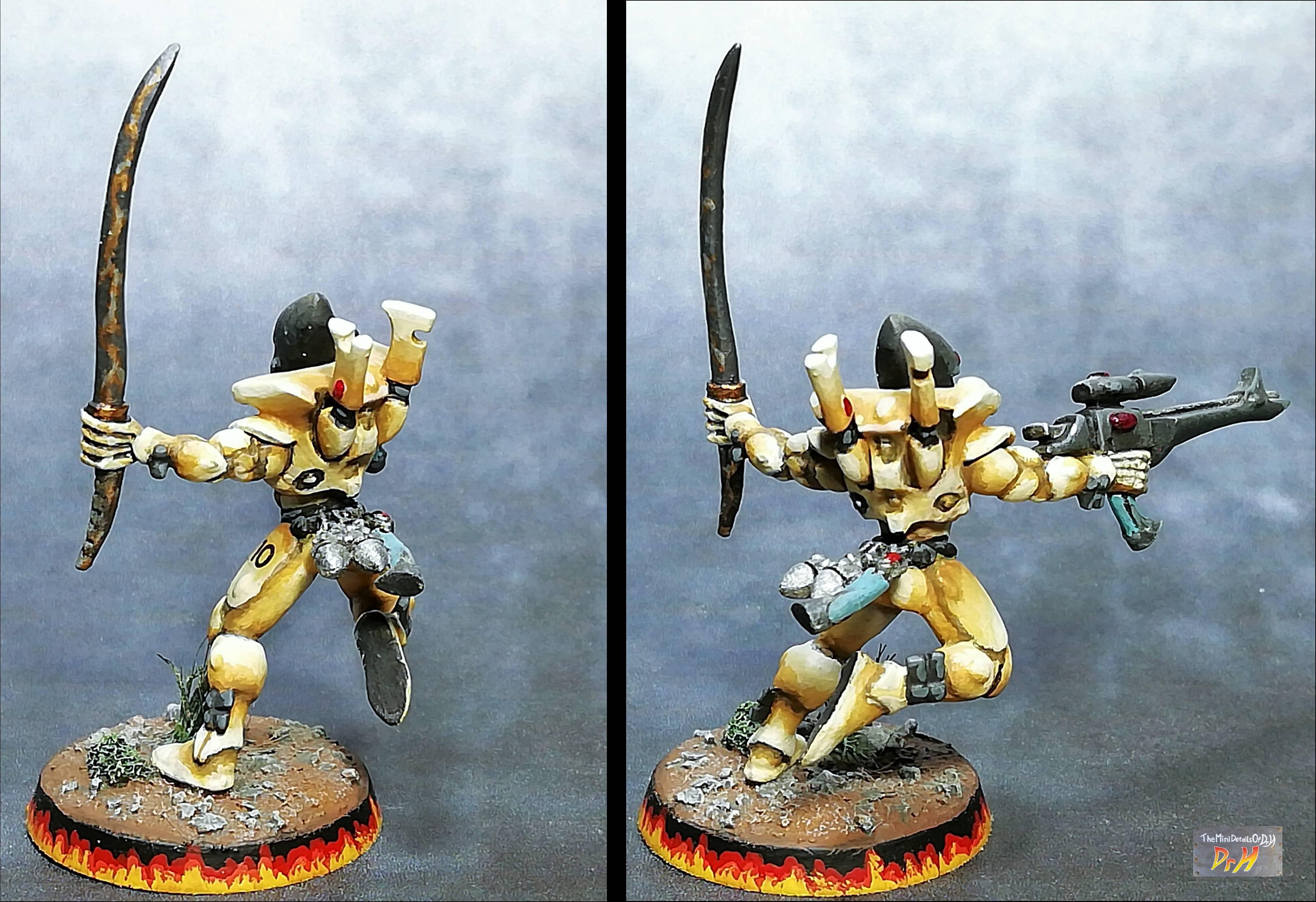 Eldar Guardian #10 _3/4