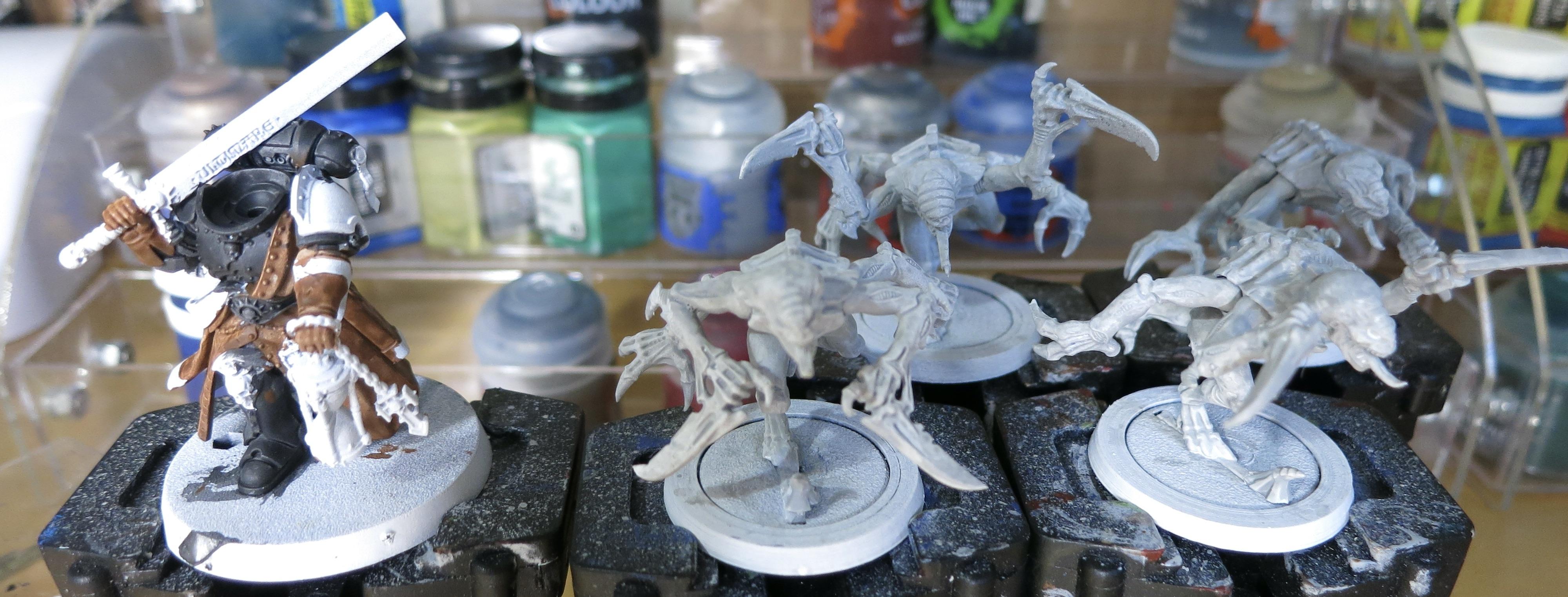 WIP 11-23