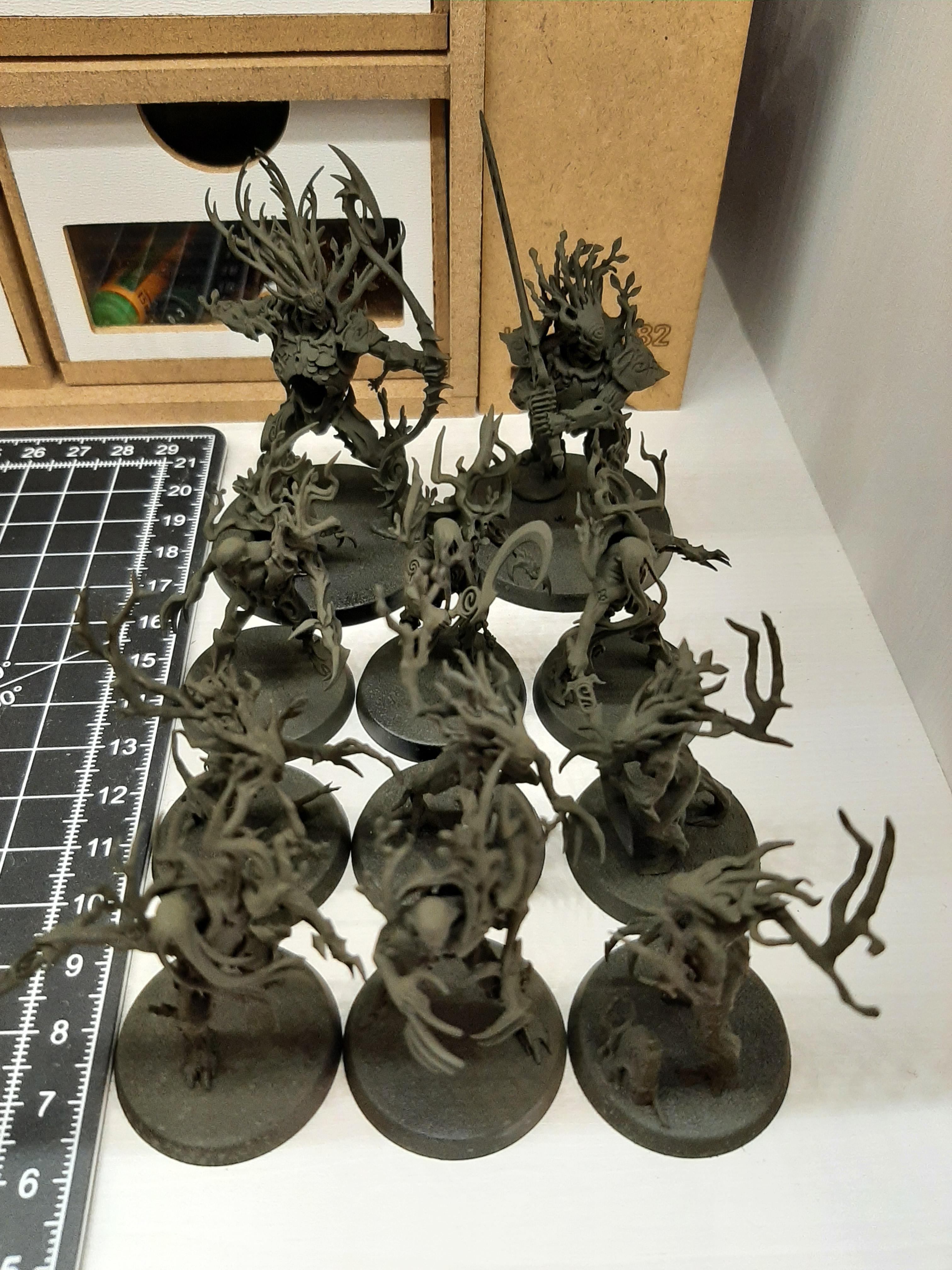 Warcry - Sylvaneth Warband WIP