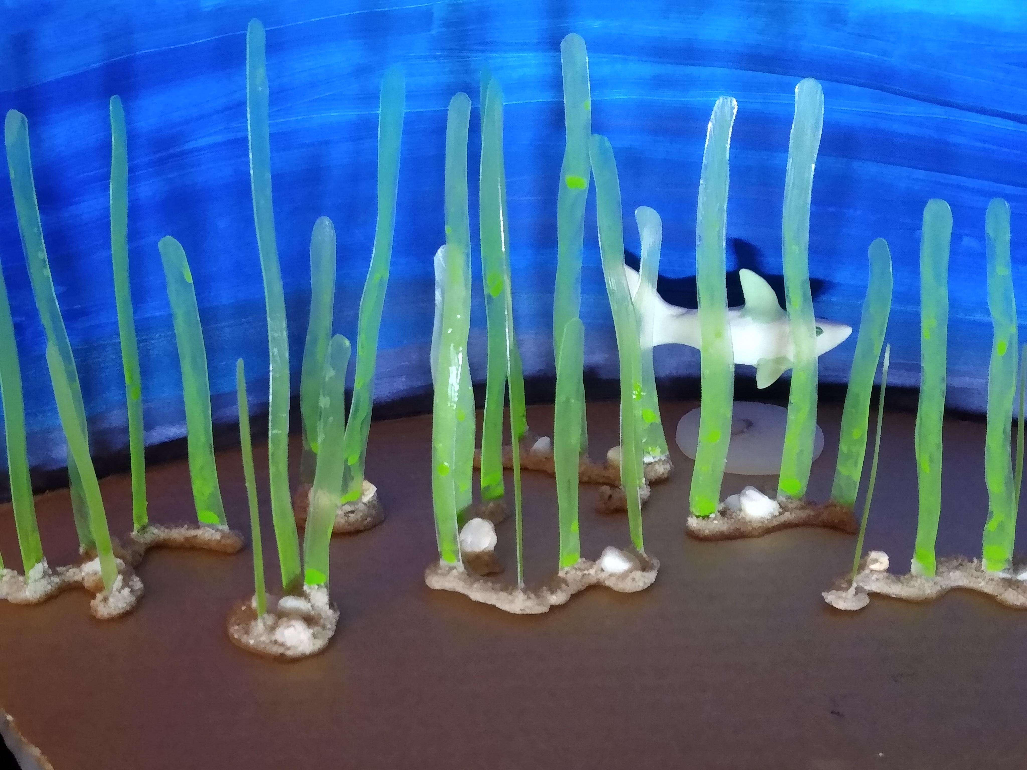 Dragon, Dungeons, Dungeons And Dragons, Kelp, Seaweed, Terrain