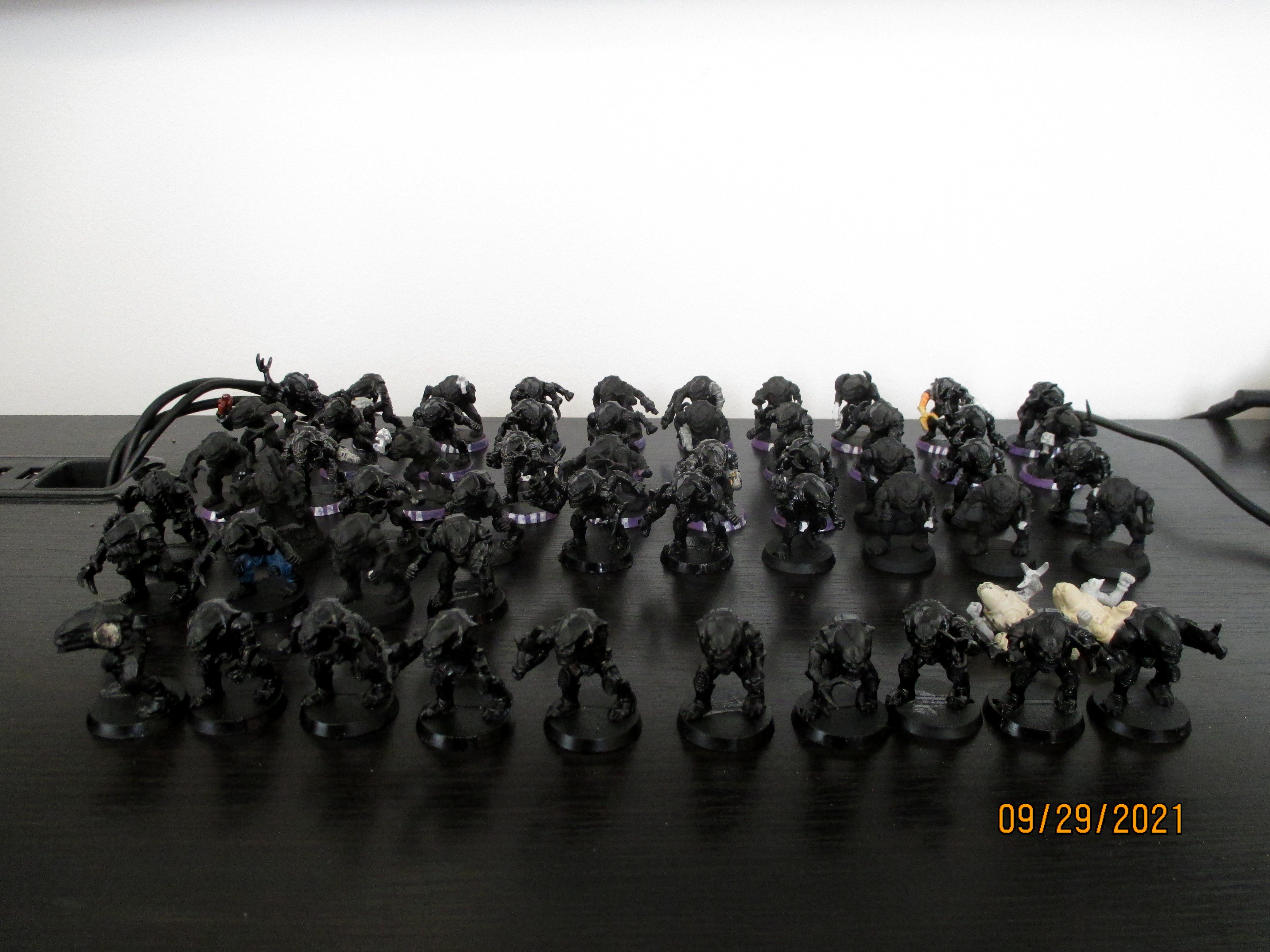 Genestealer Cult, Gsc